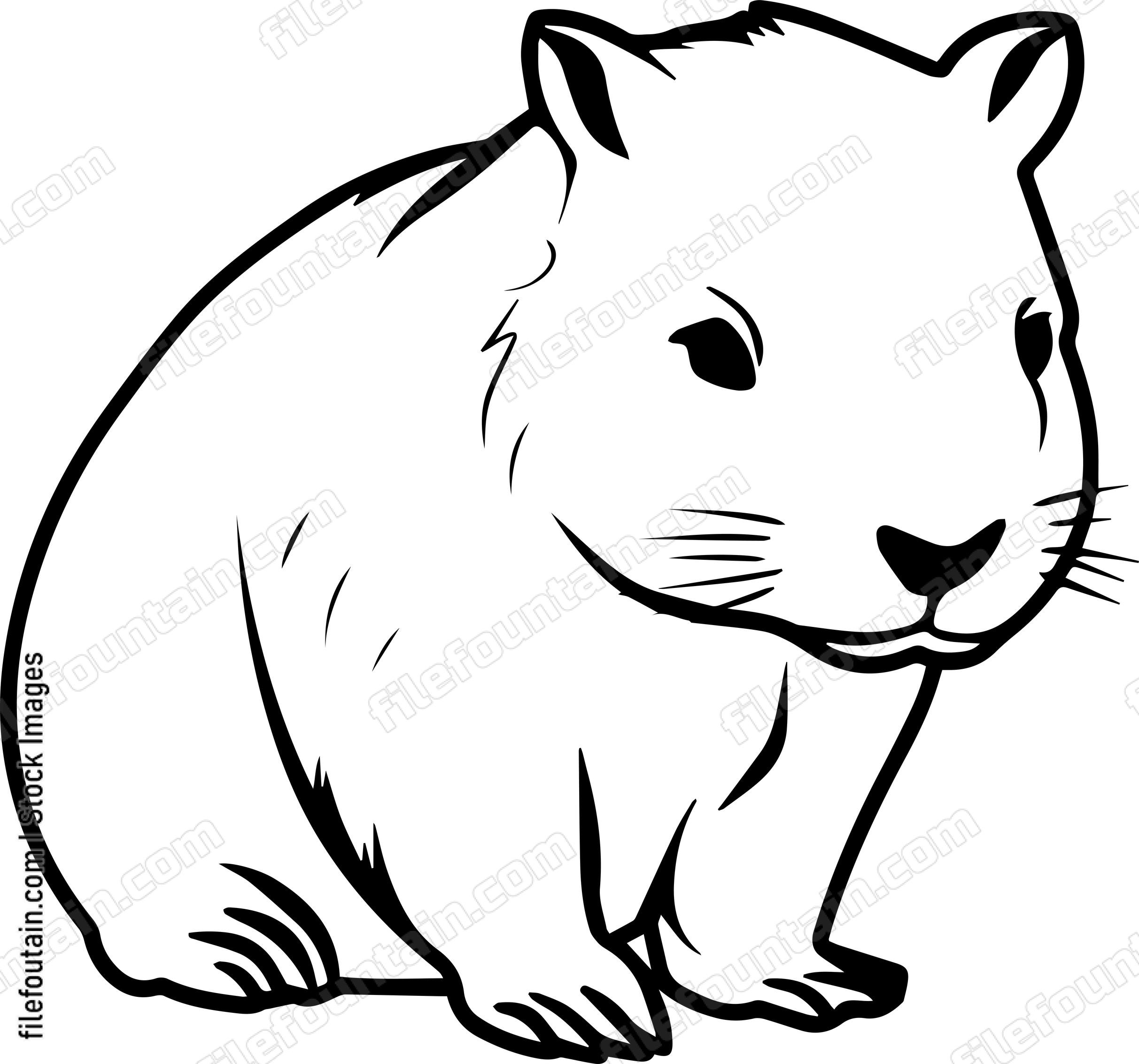 Wombat