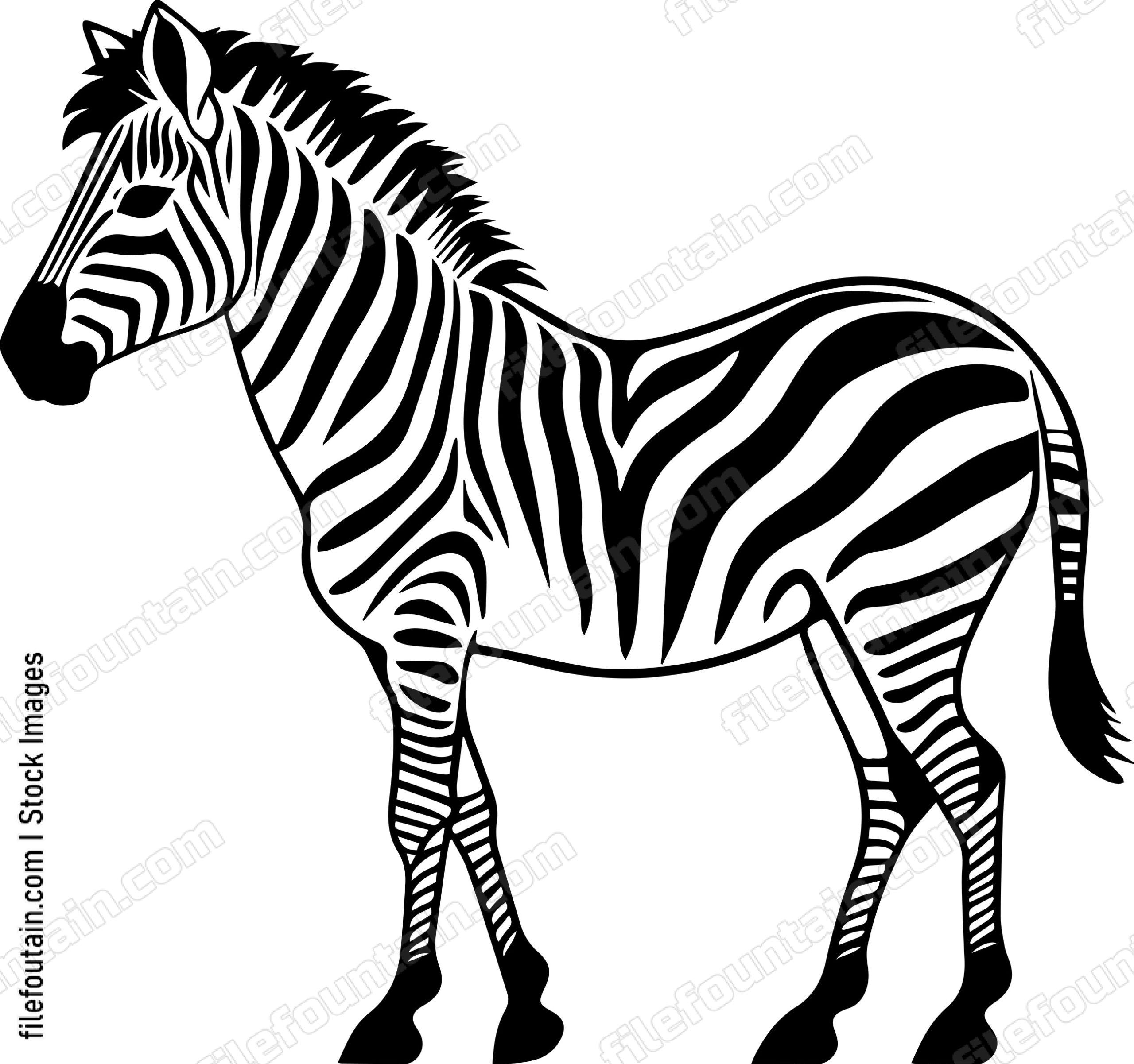 Zebra