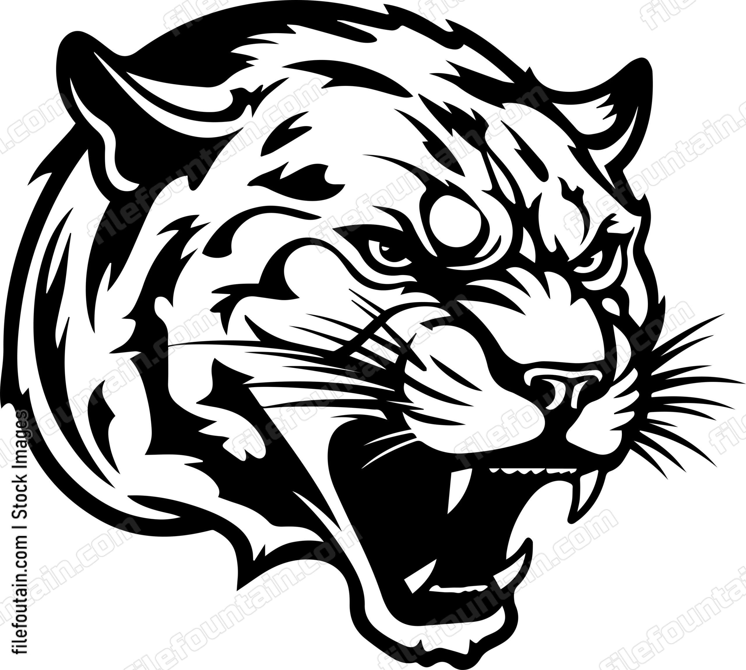 Angry Panther