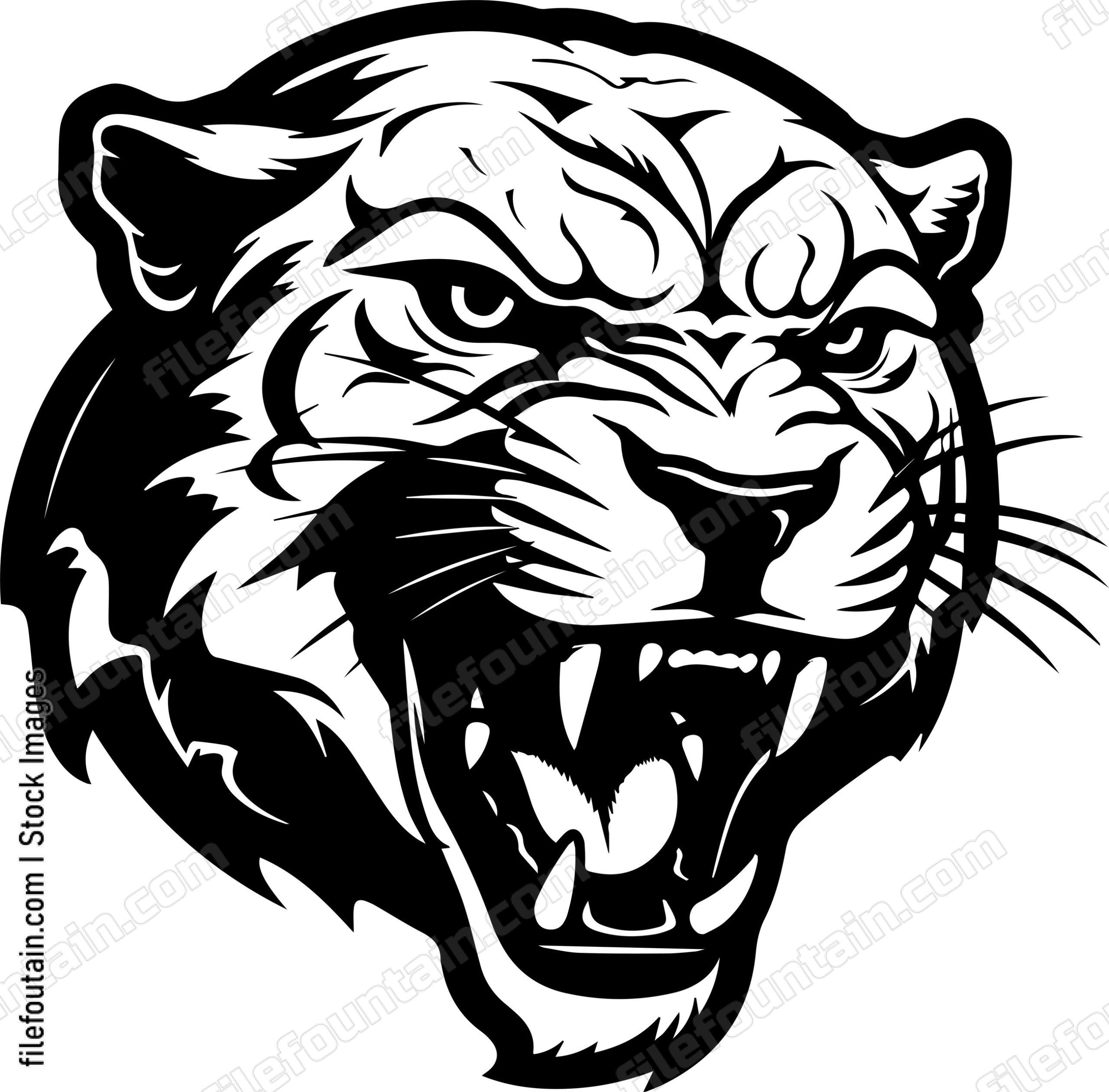 Angry Panther