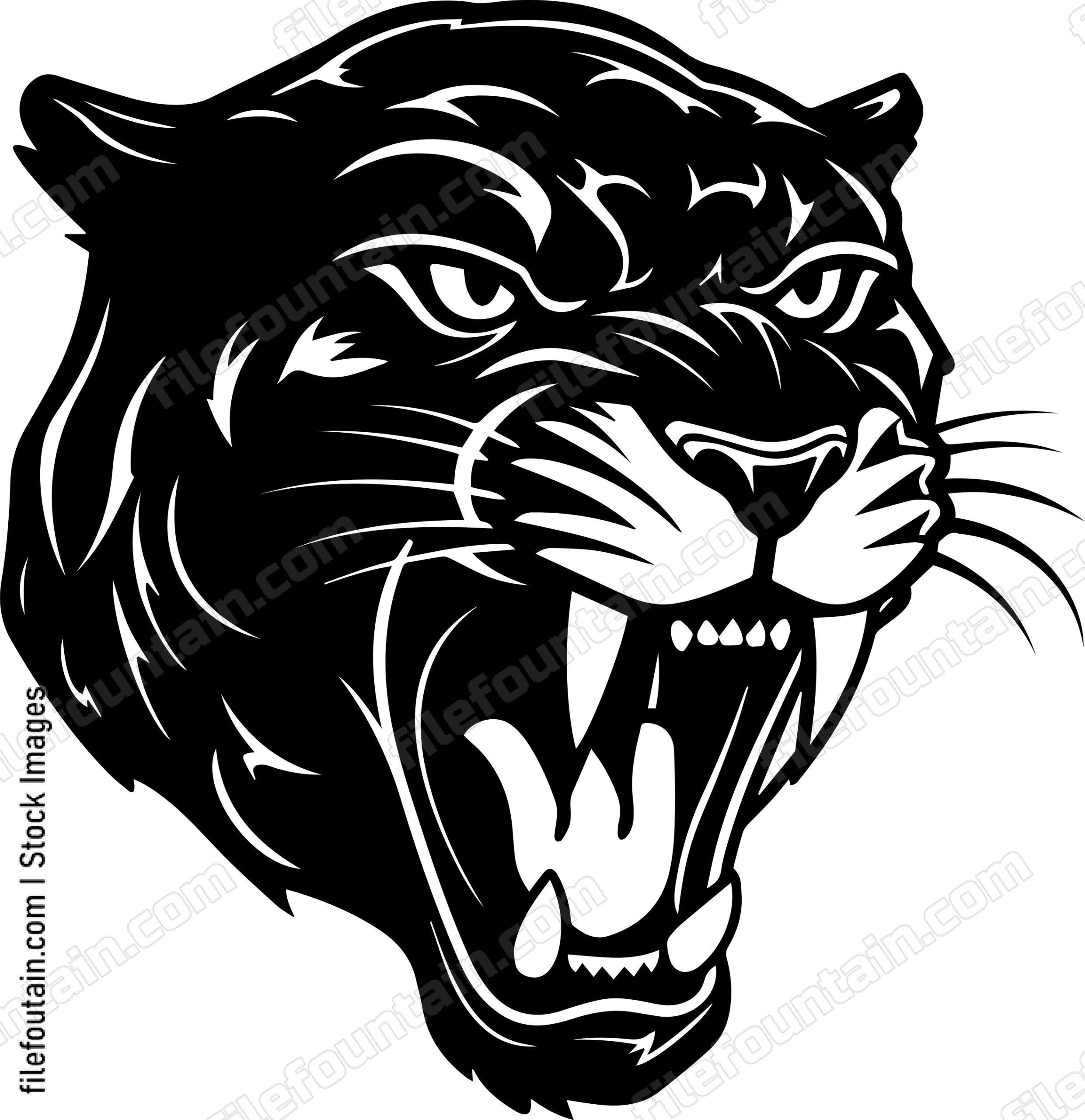 Angry Panther