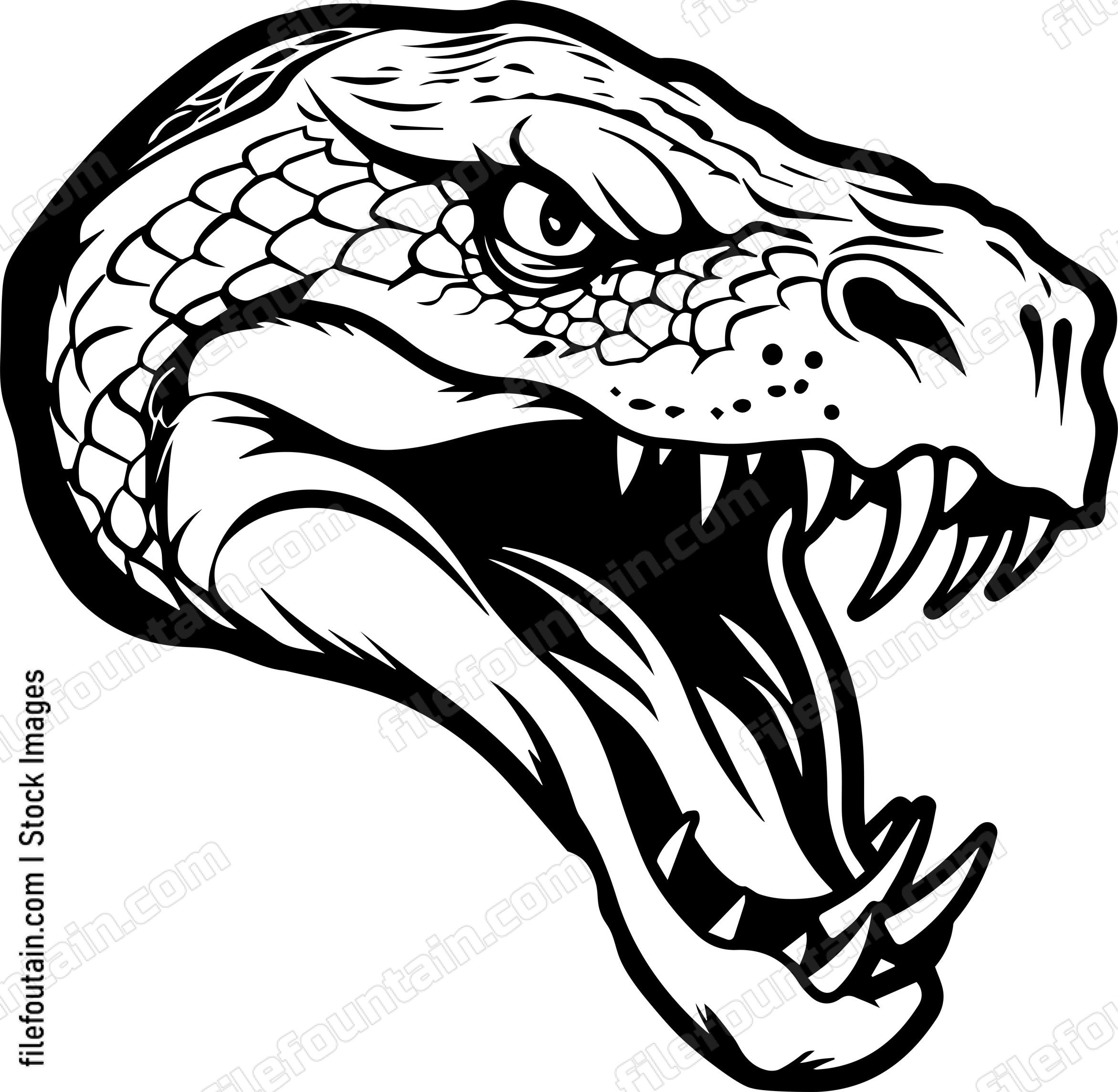 Angry Snake Head