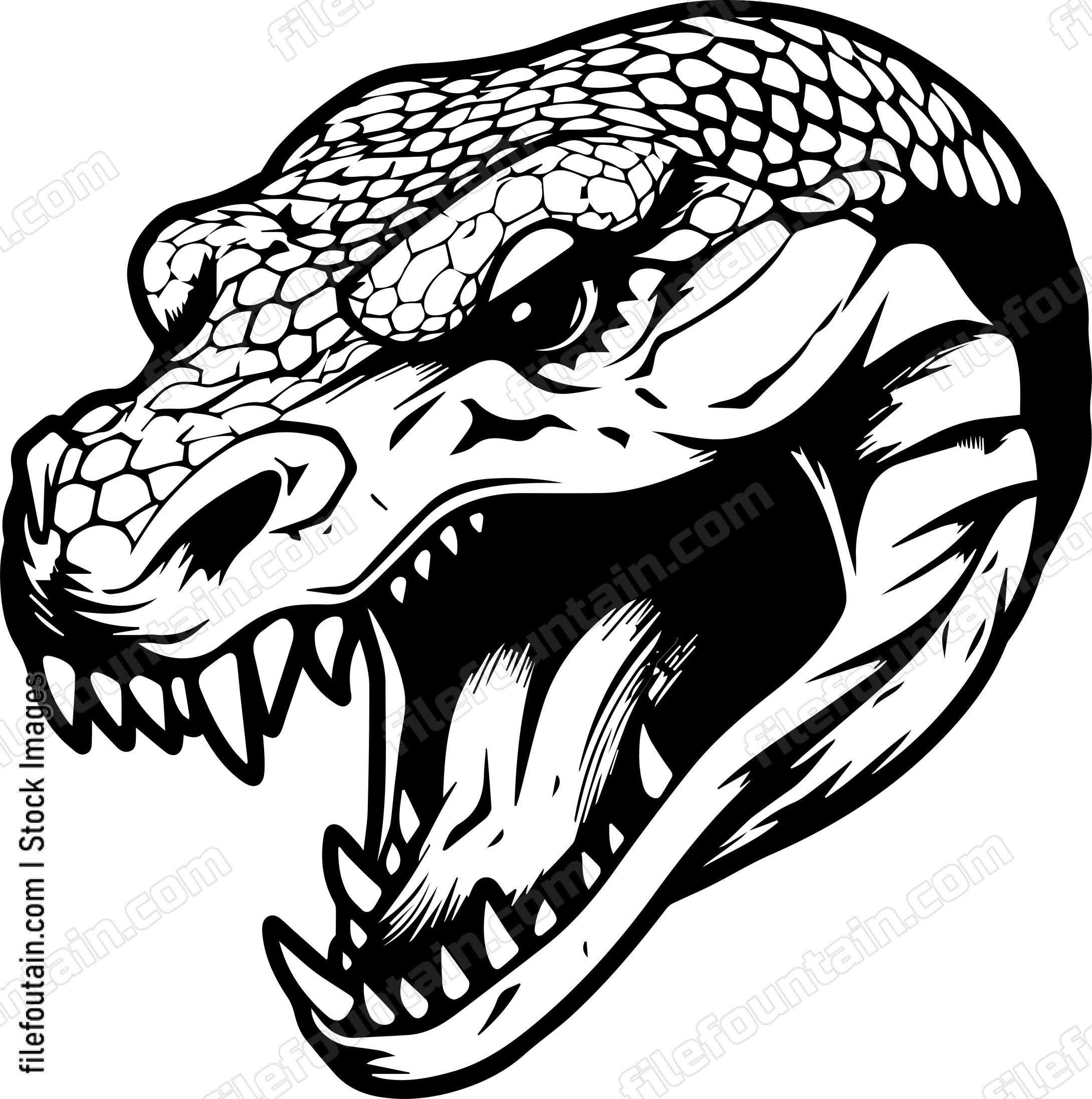 Angry Snake Head