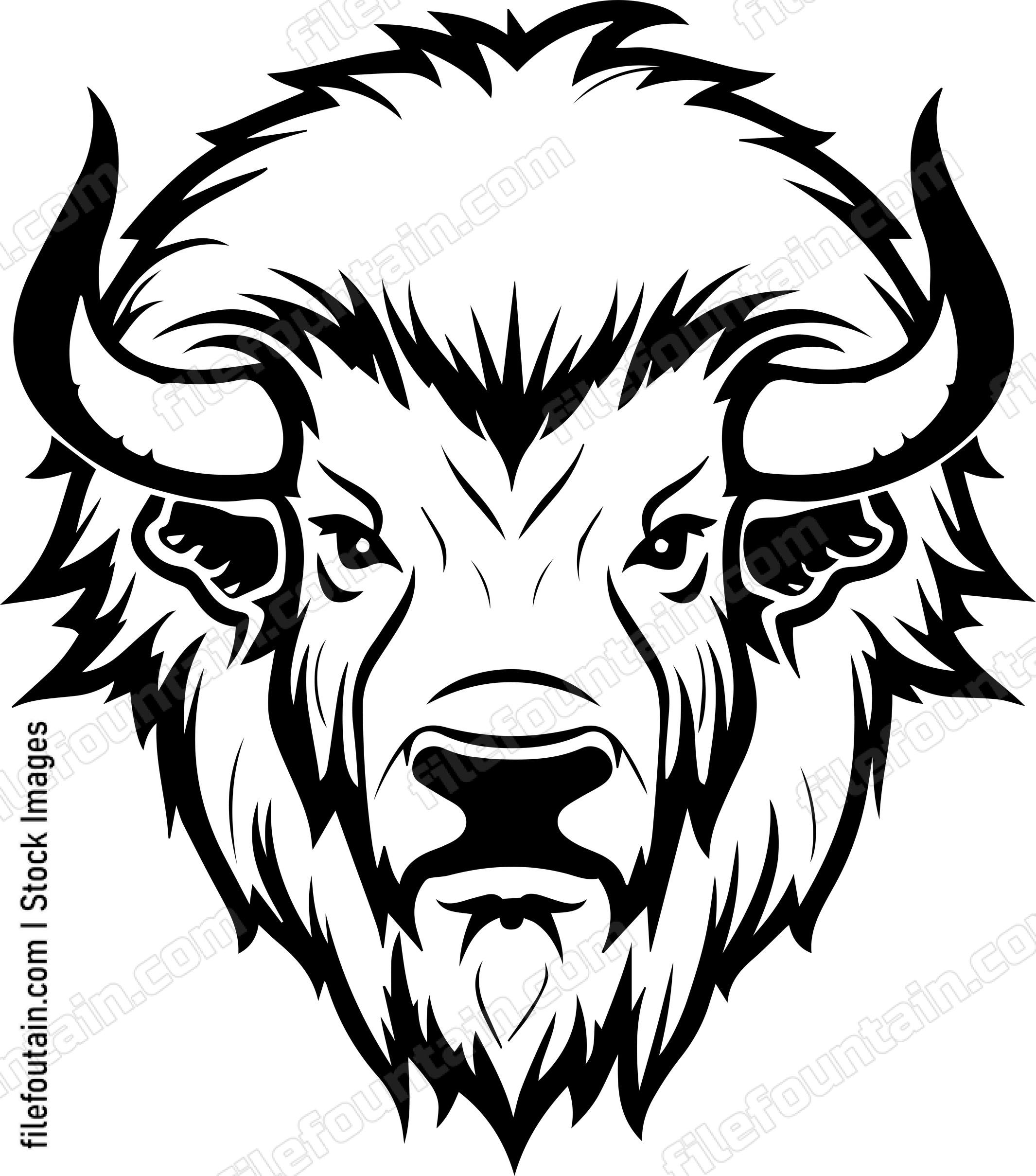 Bison Mascot