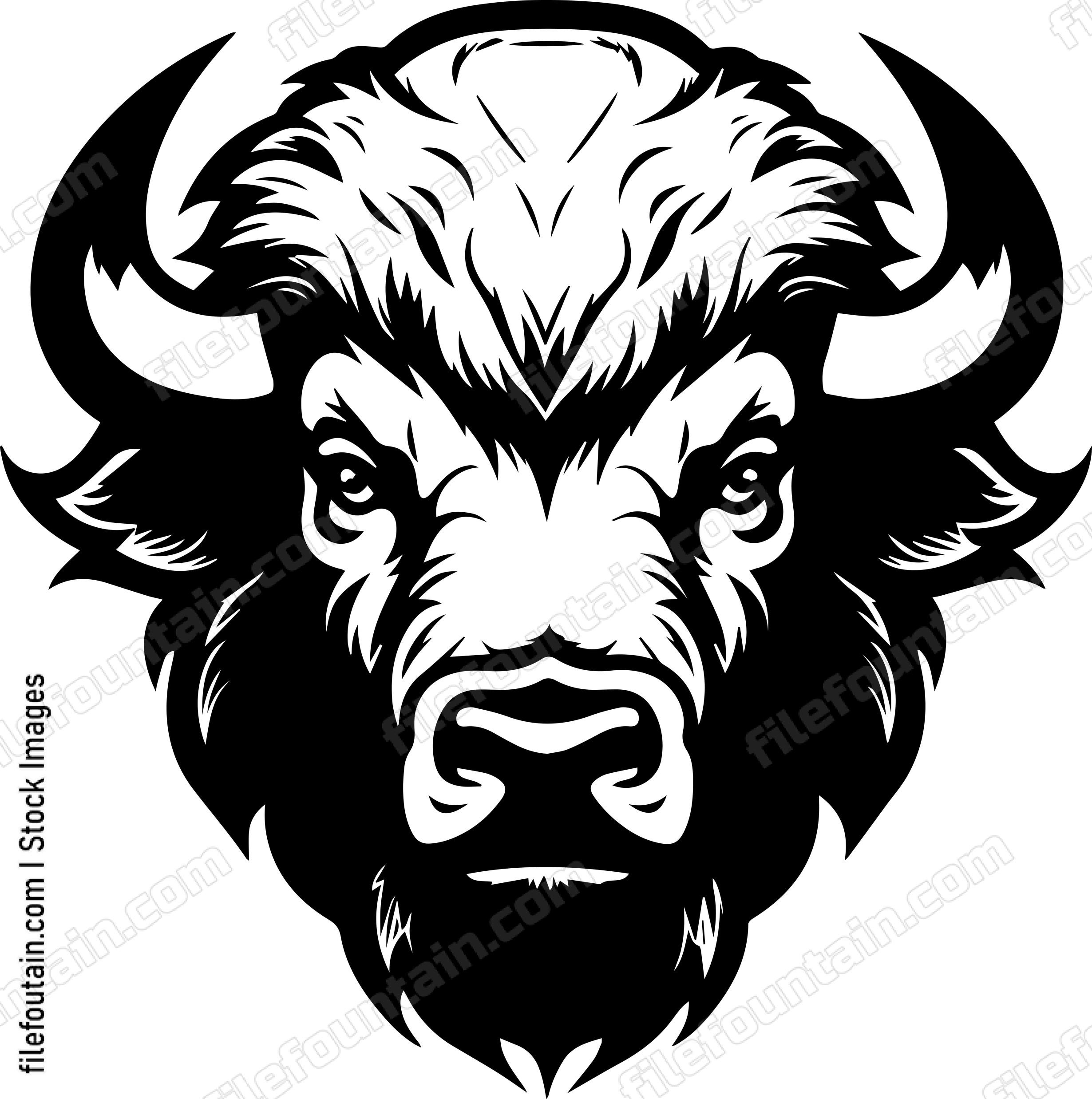 Bison Mascot