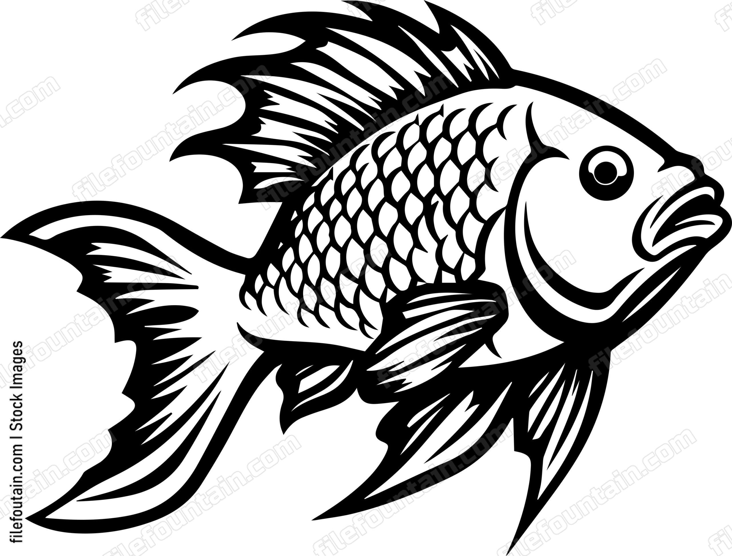 Carp