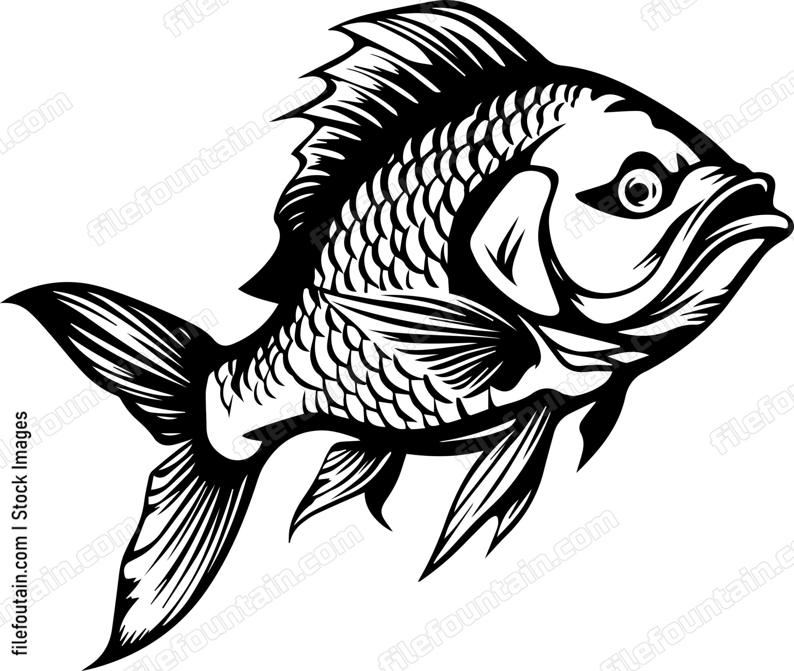 Carp