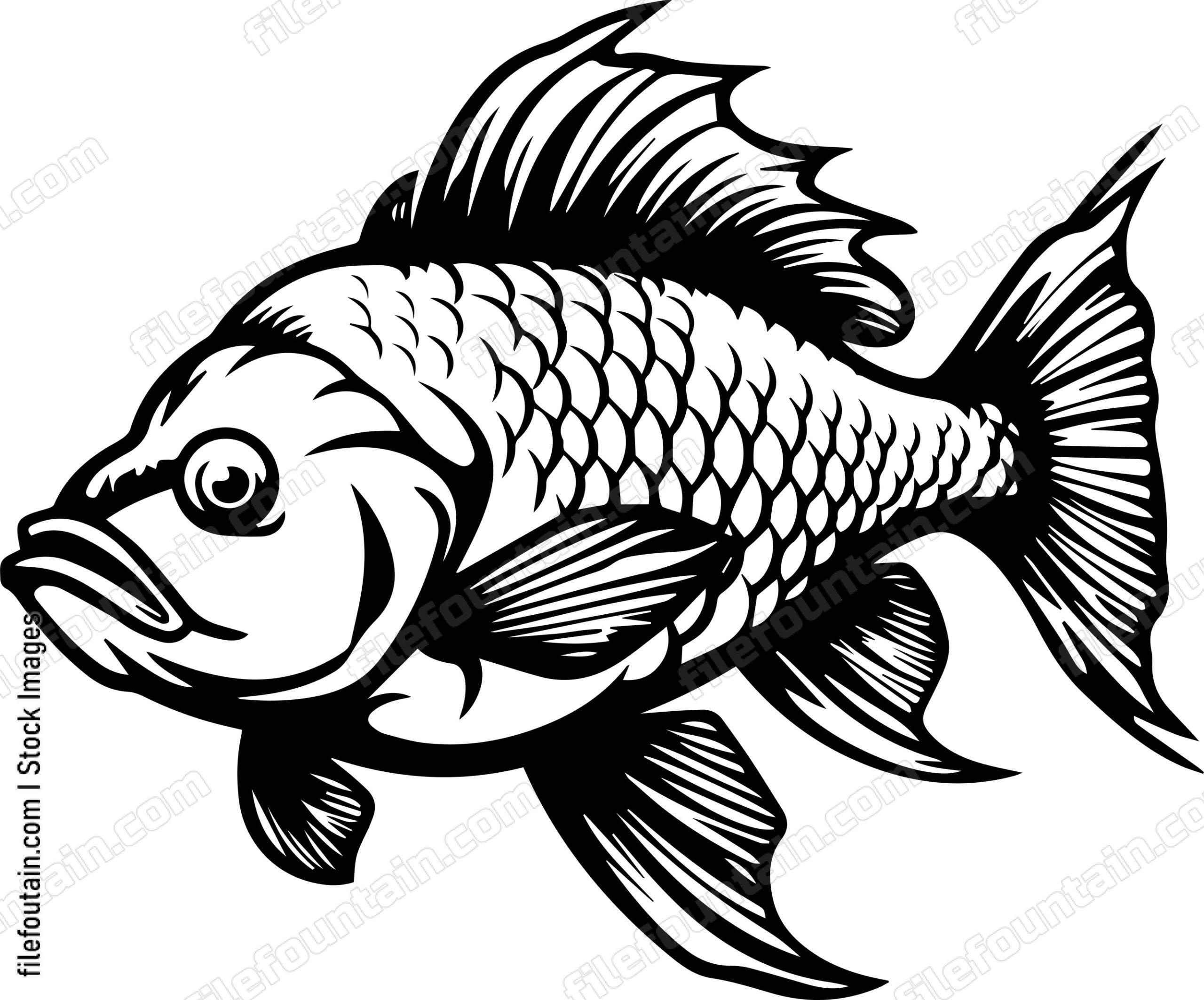 Carp