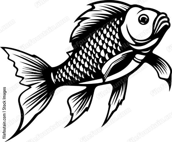 Carp