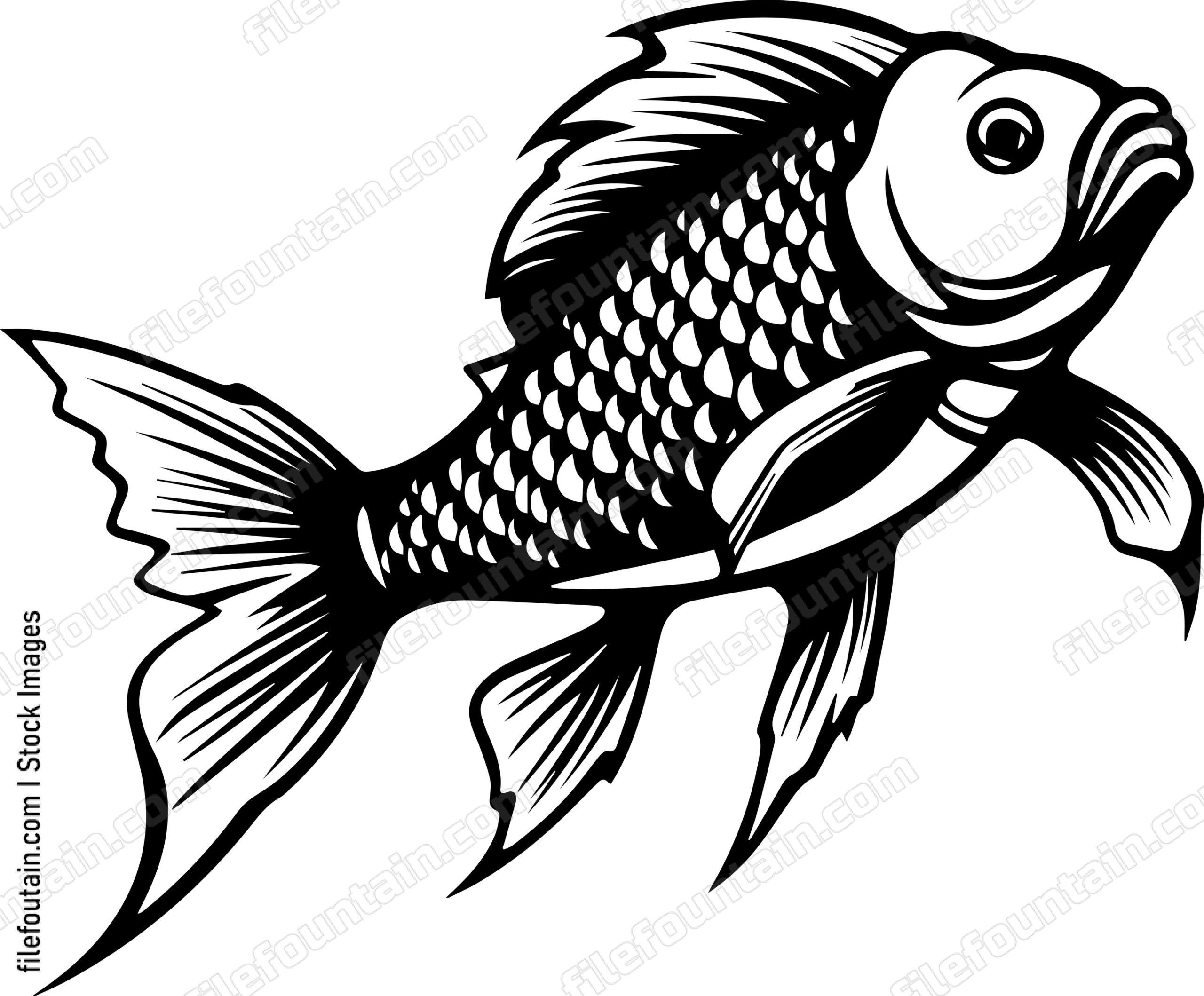 Carp