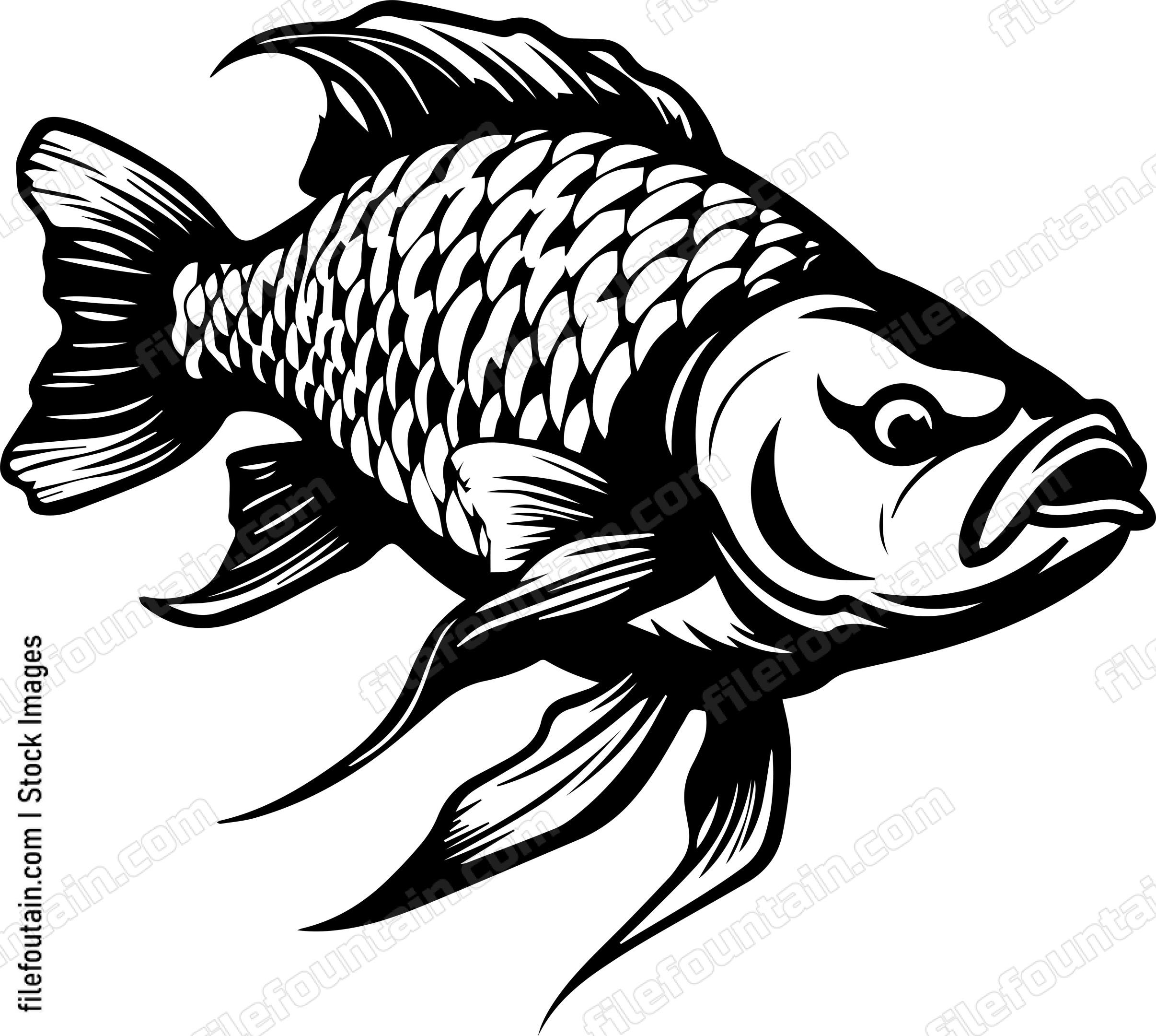Carp