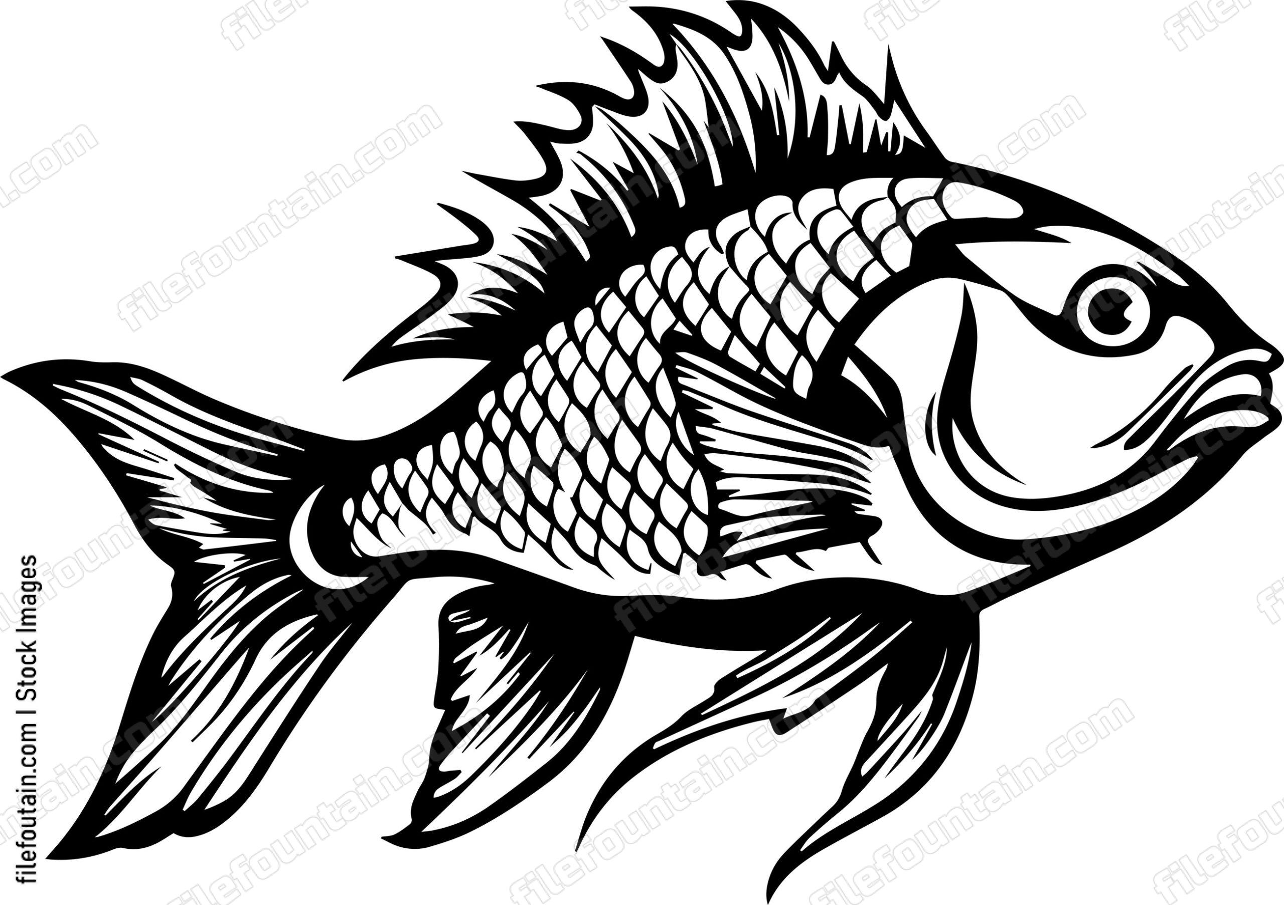 Carp