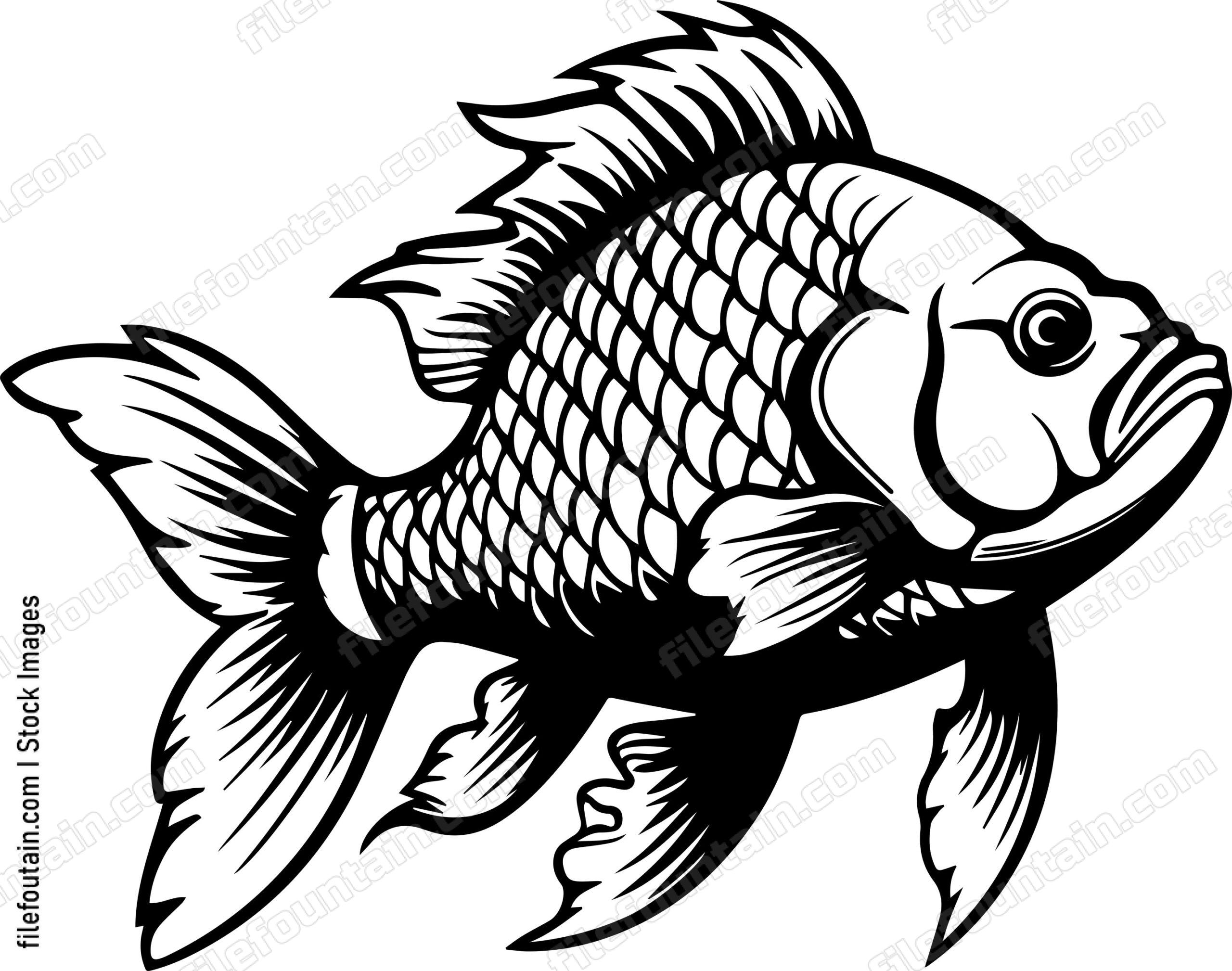 Carp