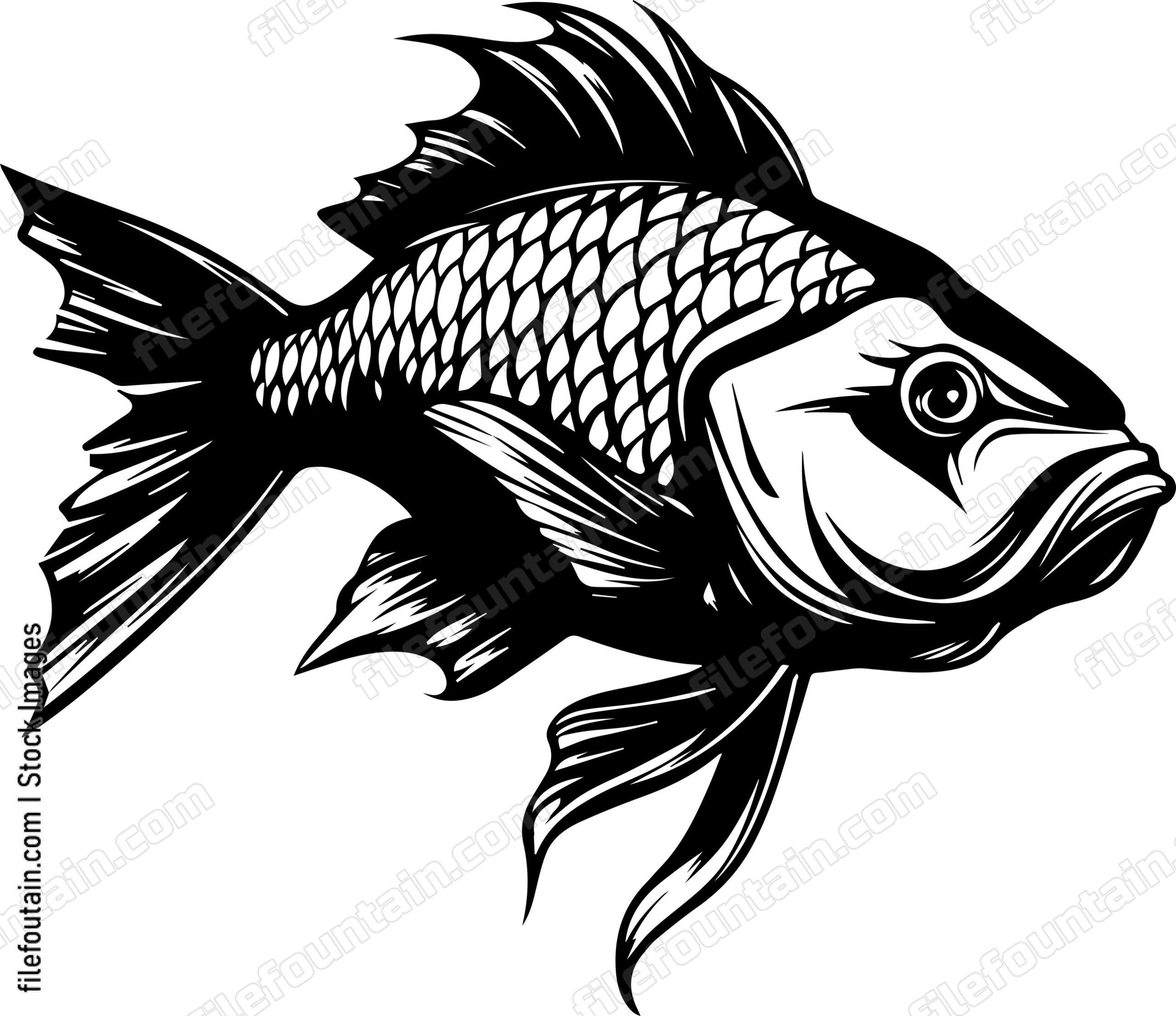 Carp