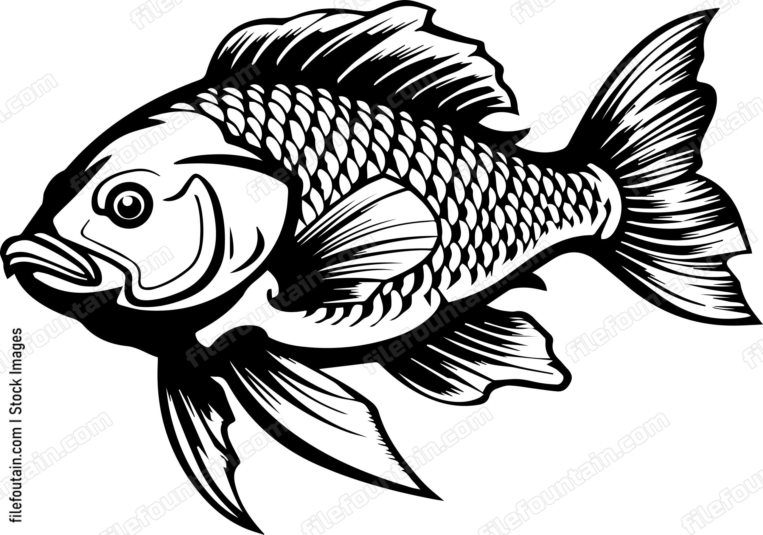 Carp