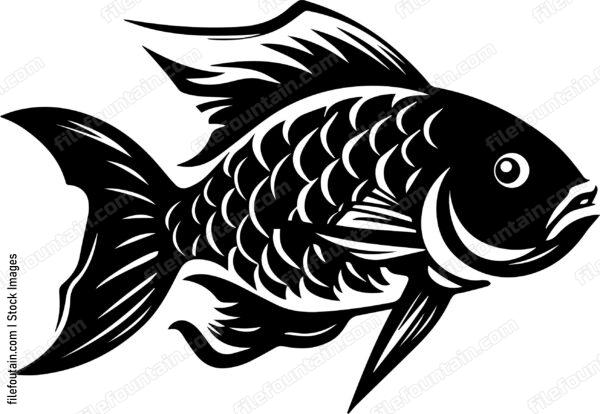 Carp