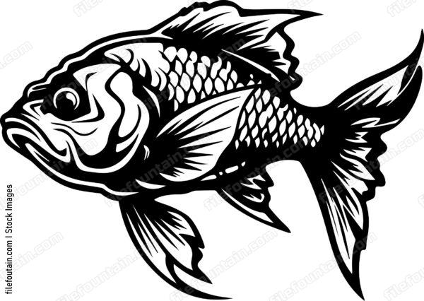 Carp