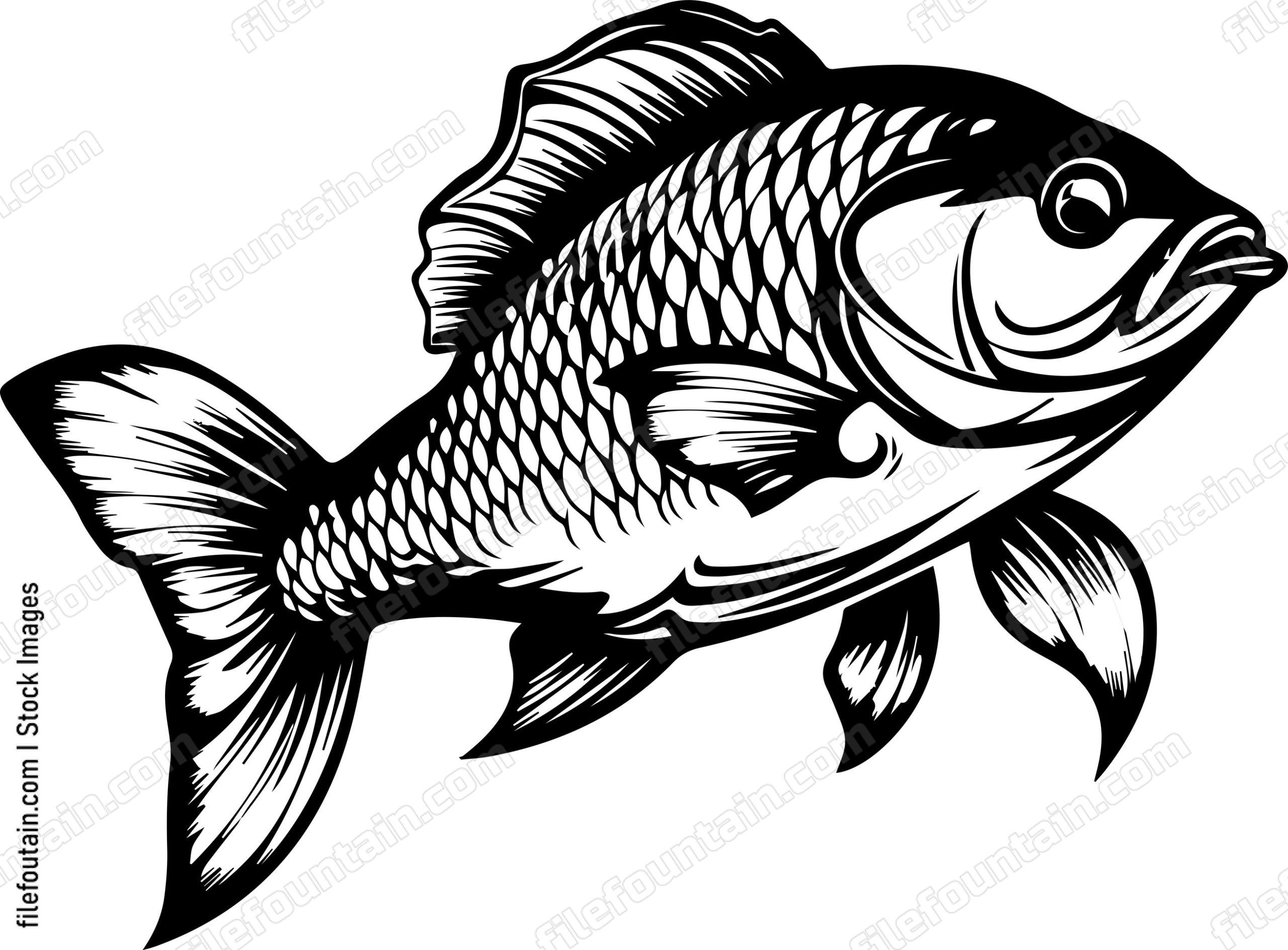 Carp