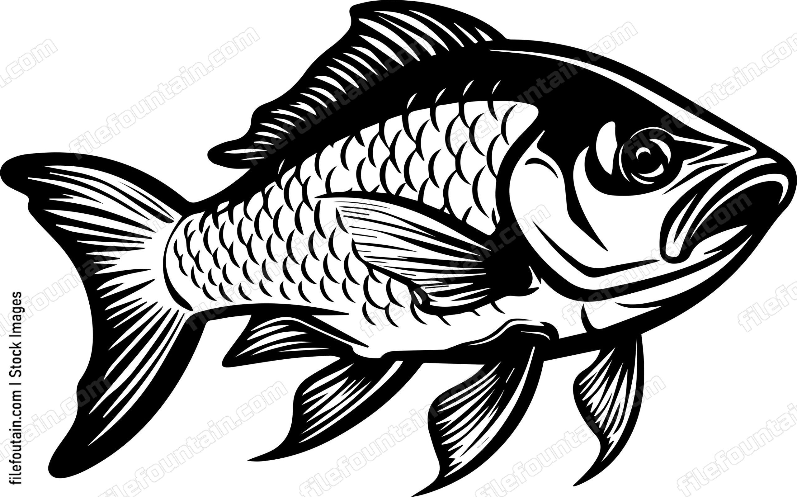 Carp