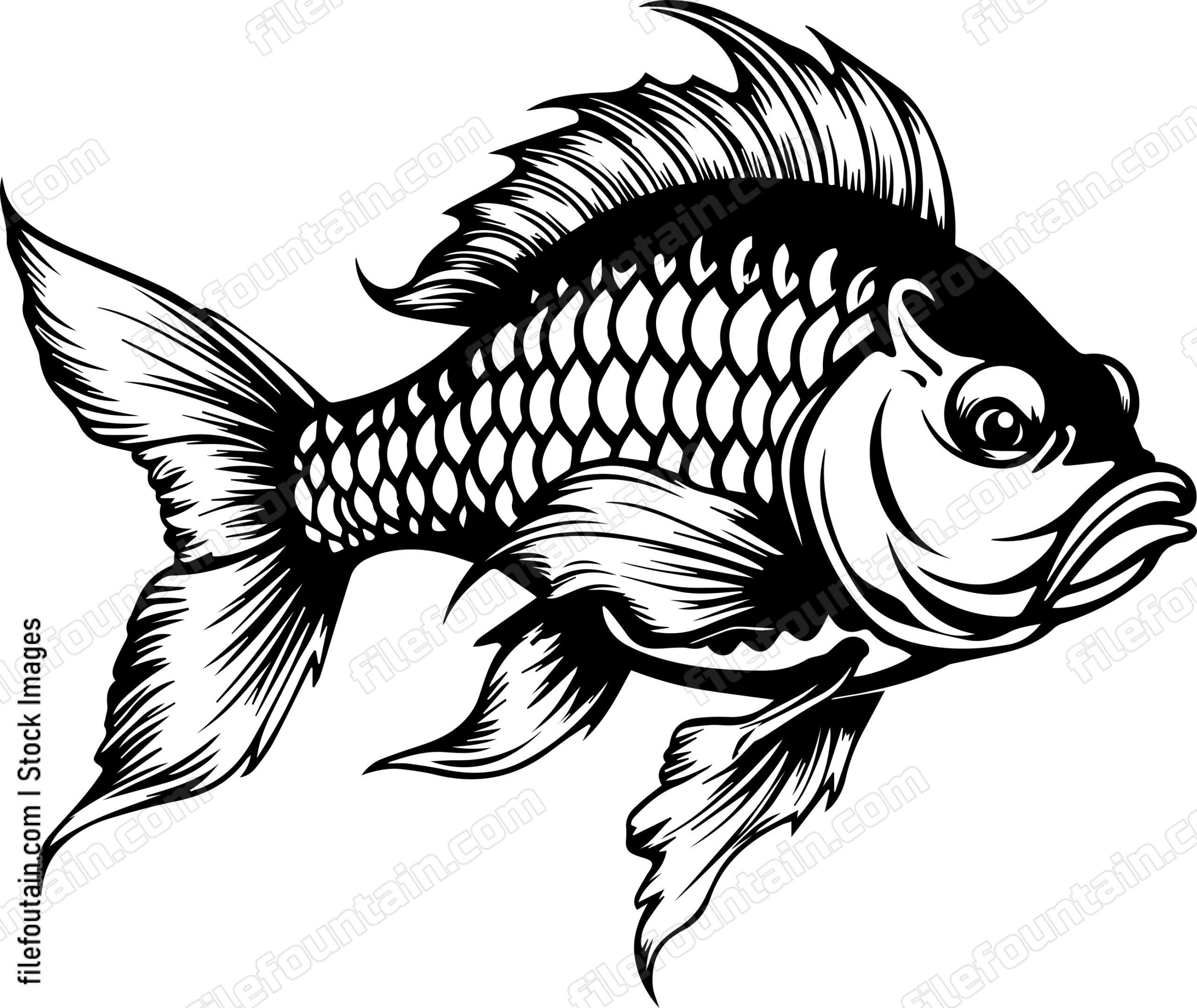 Carp