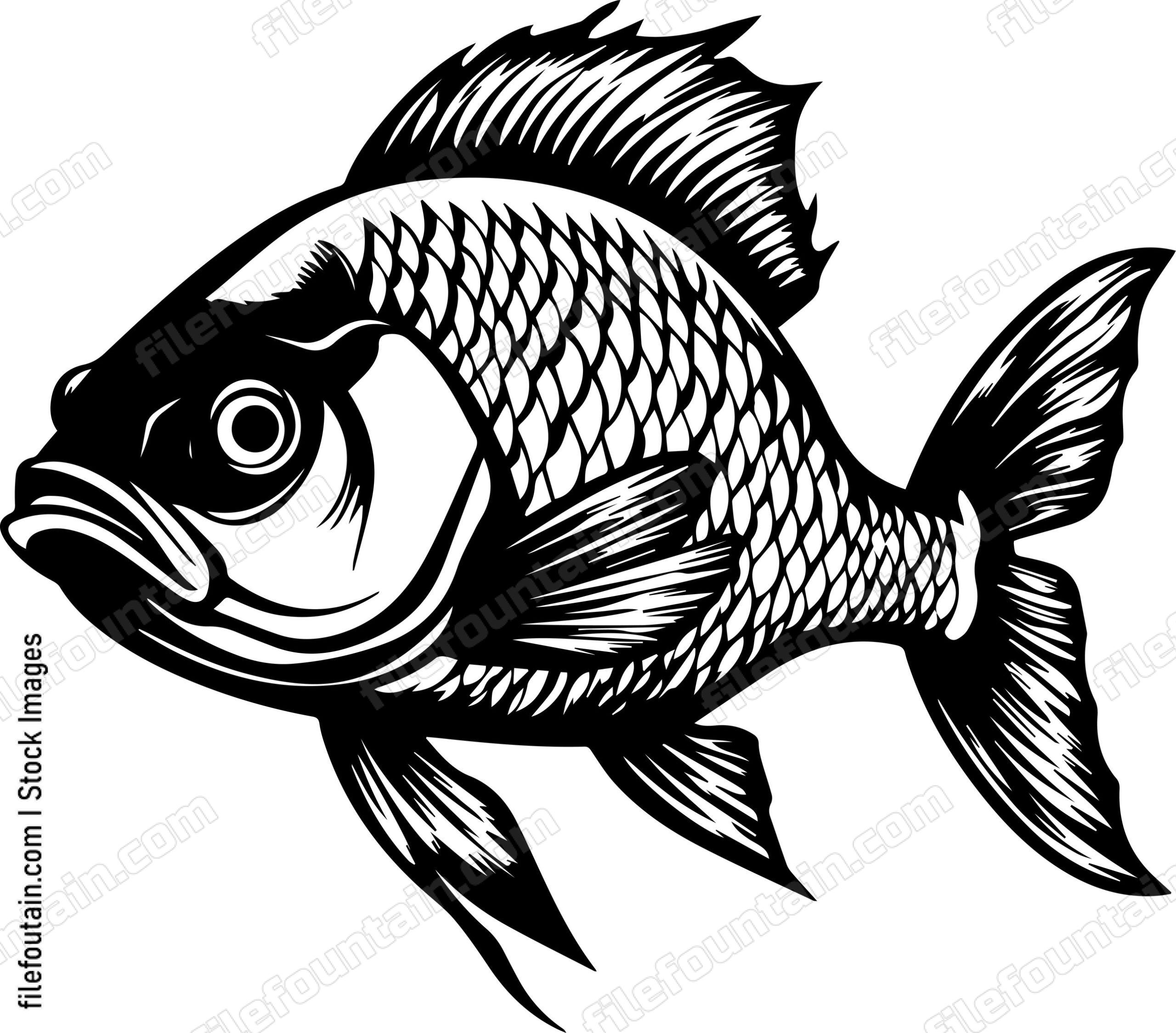 Carp