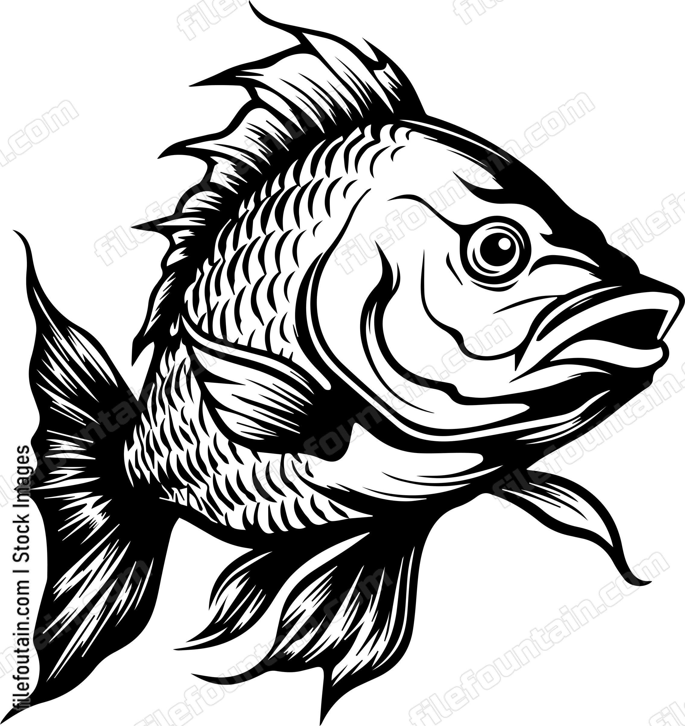 Carp