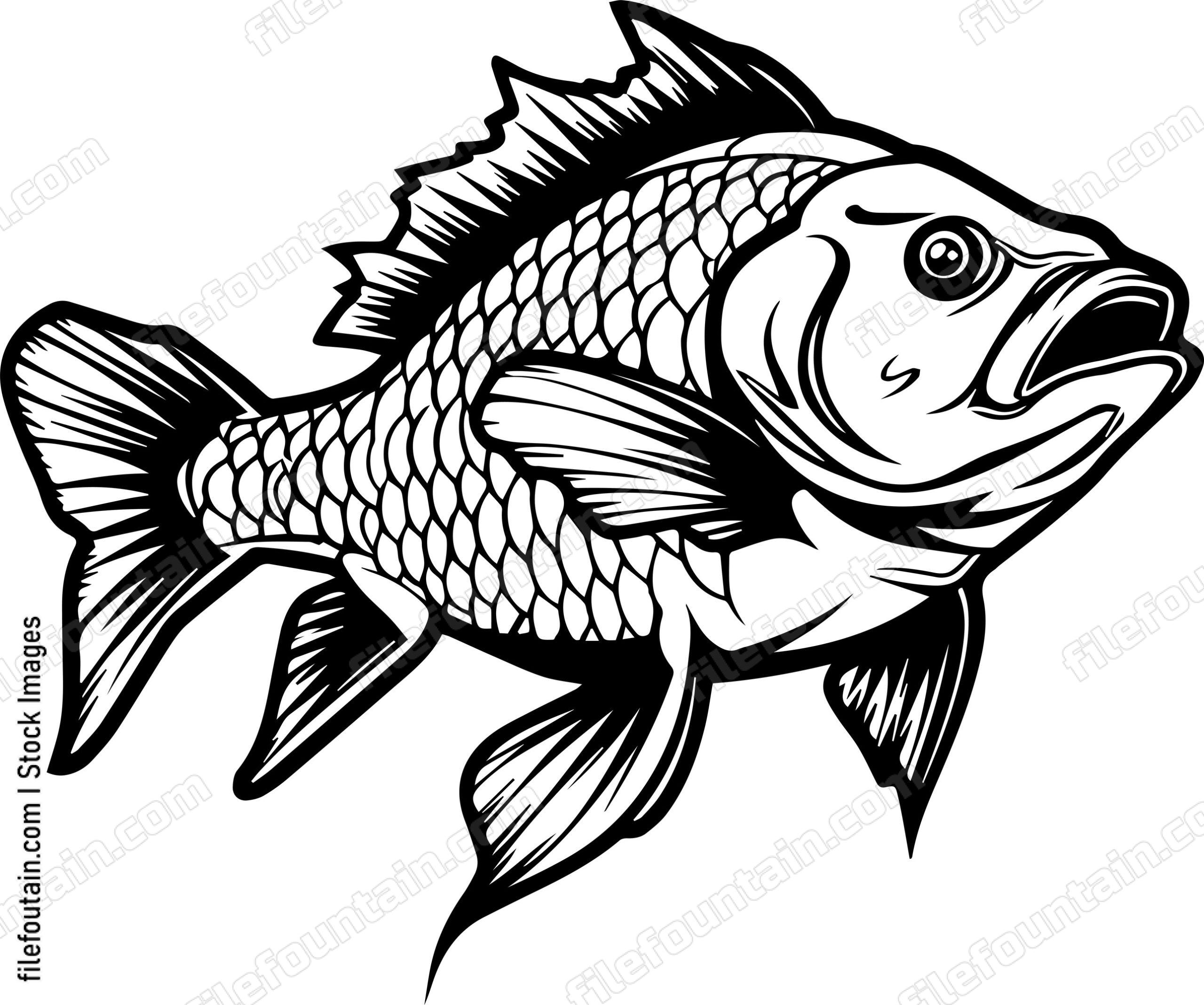 Carp