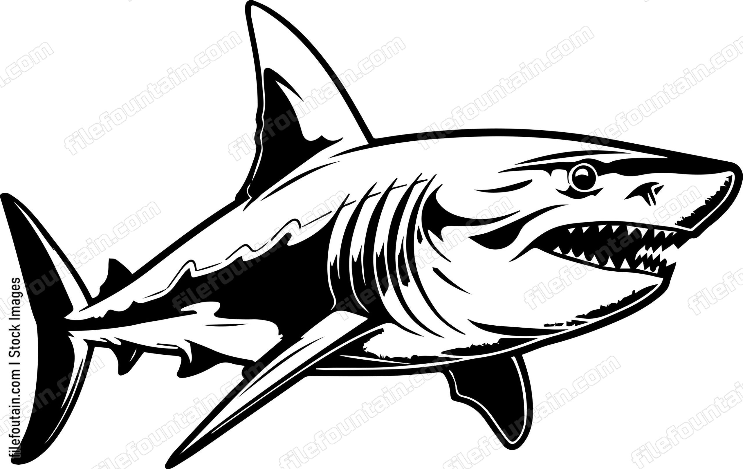 Great White Shark