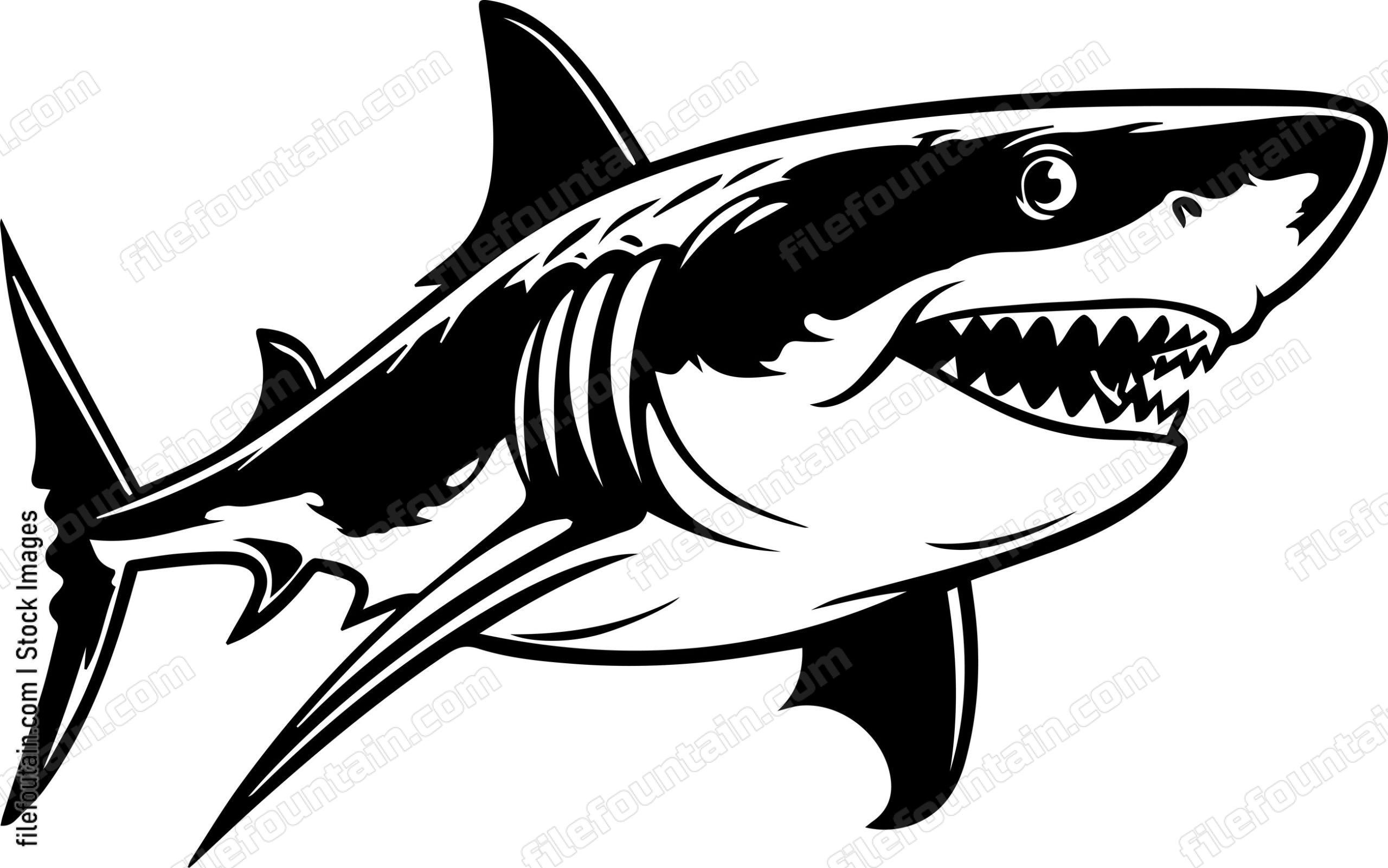 Great White Shark