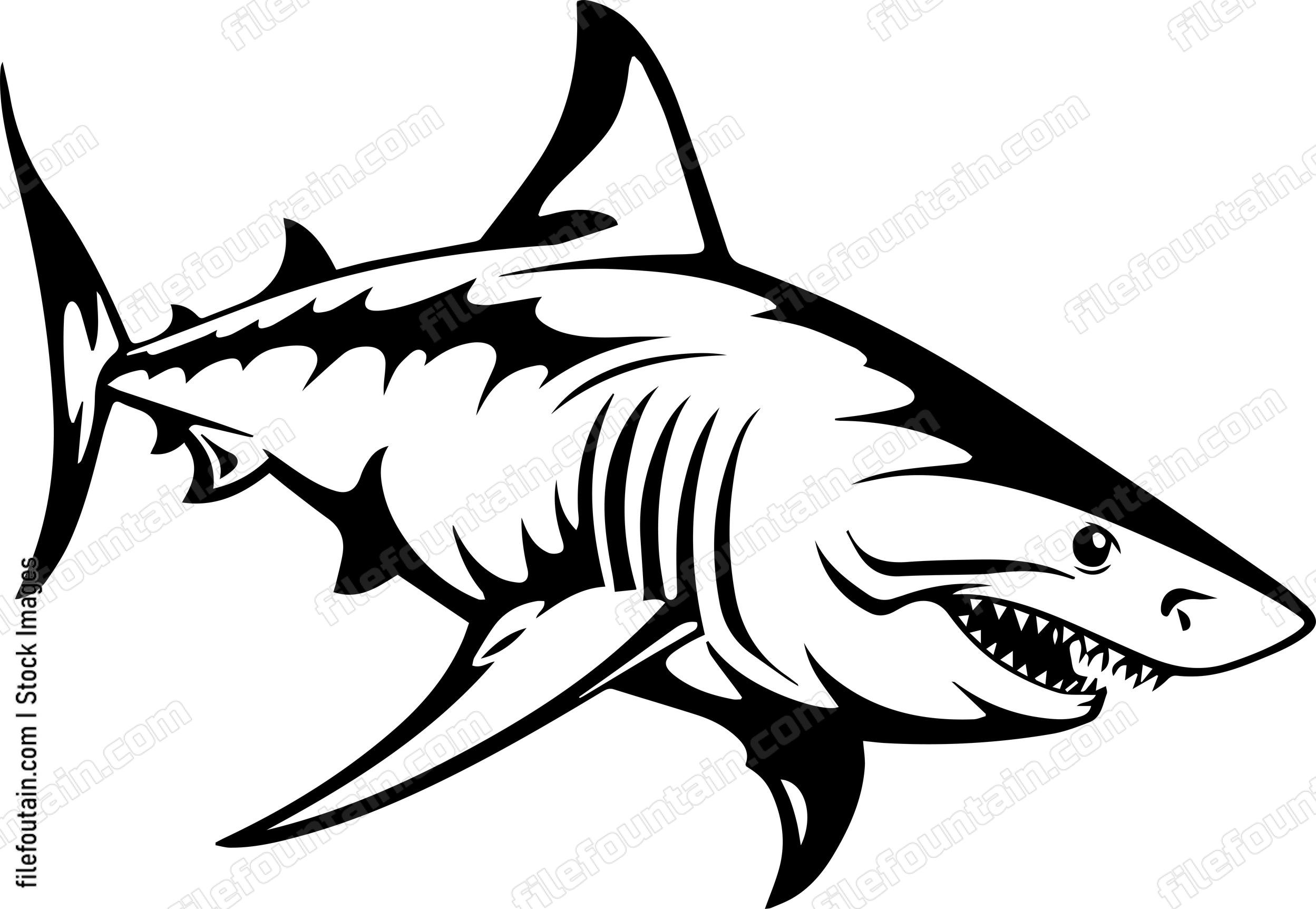 Great White Shark