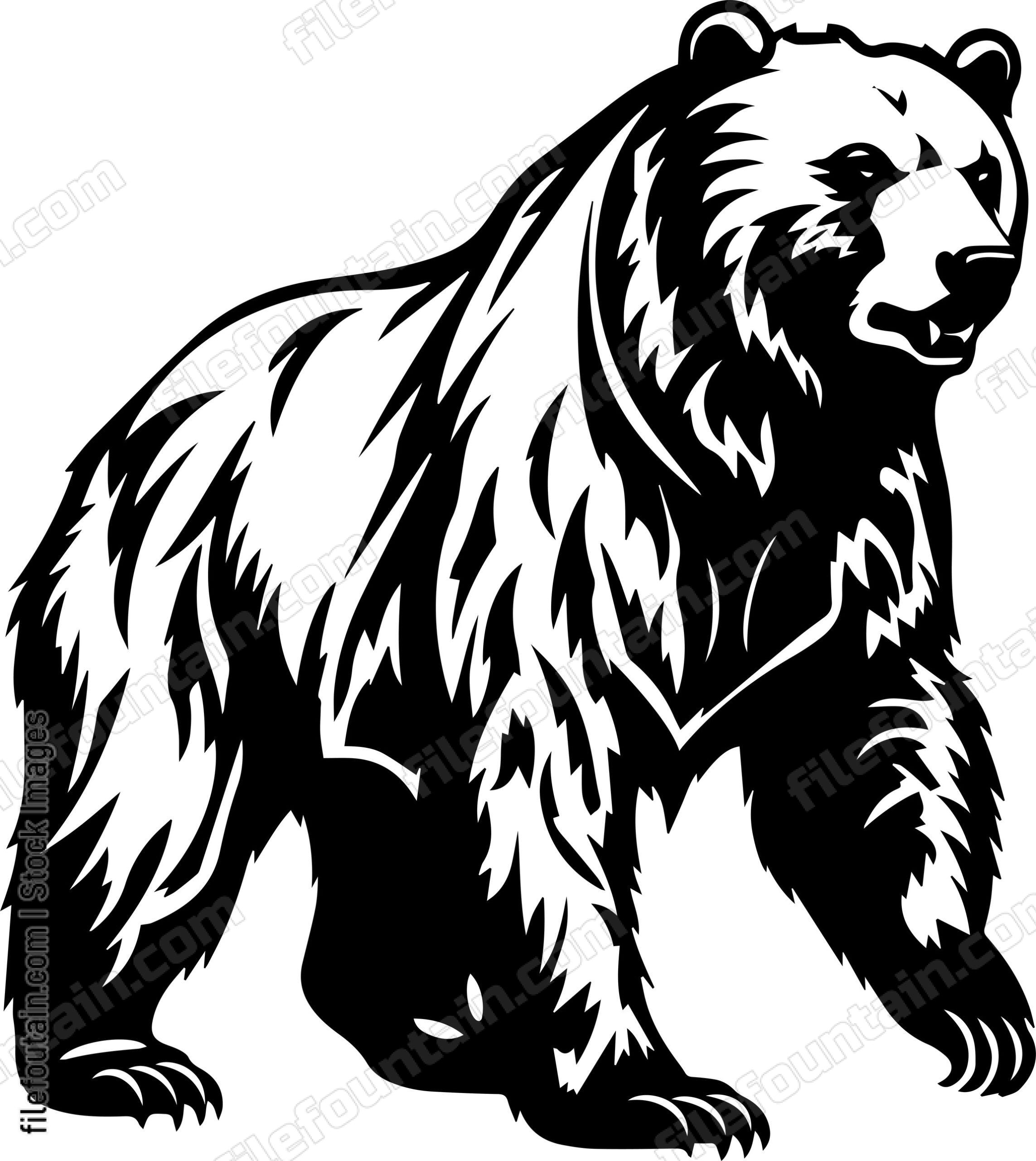 Grizzly Bear