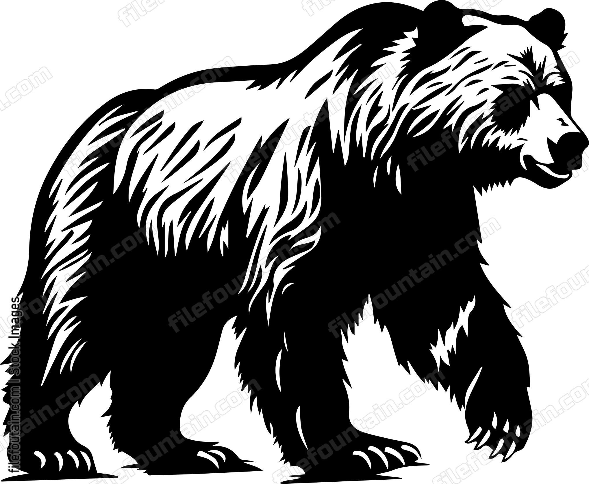 Grizzly Bear