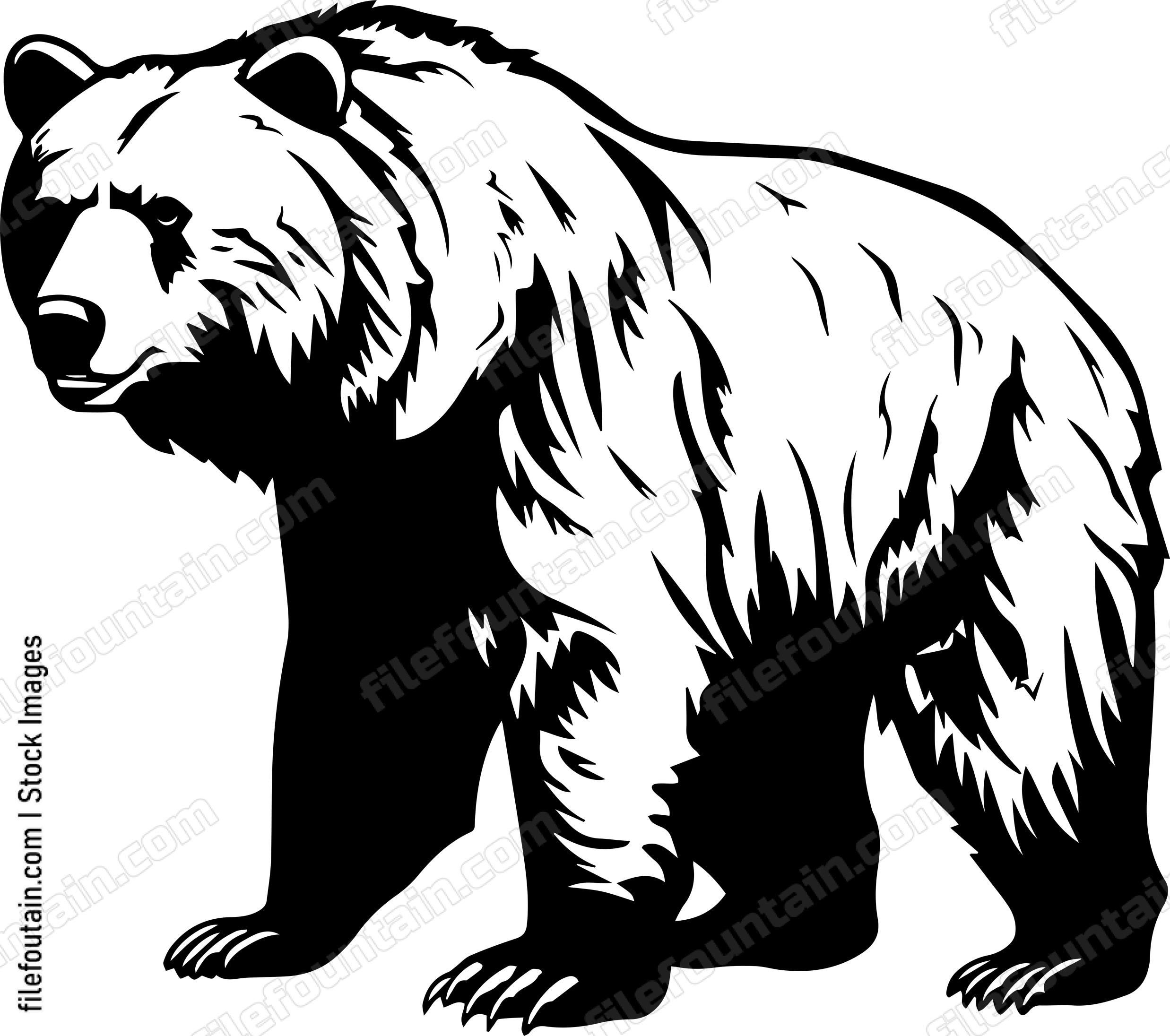 Grizzly Bear