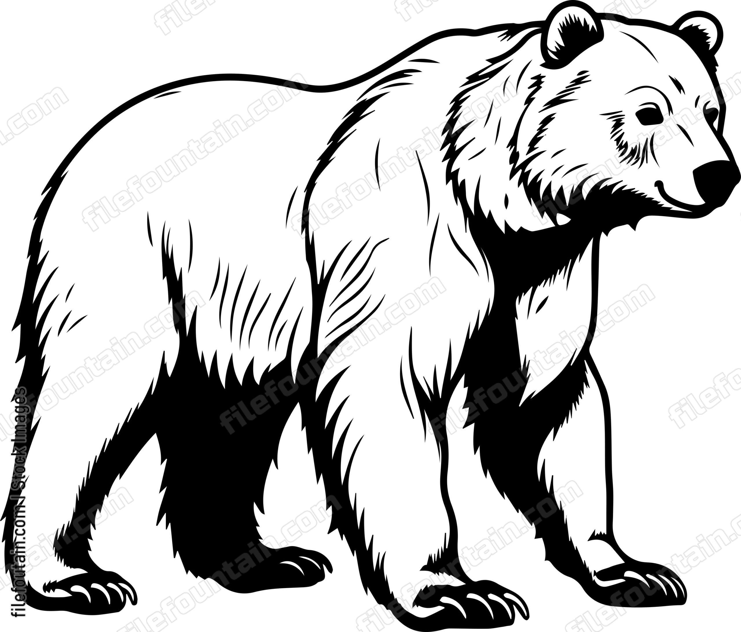 Grizzly Bear