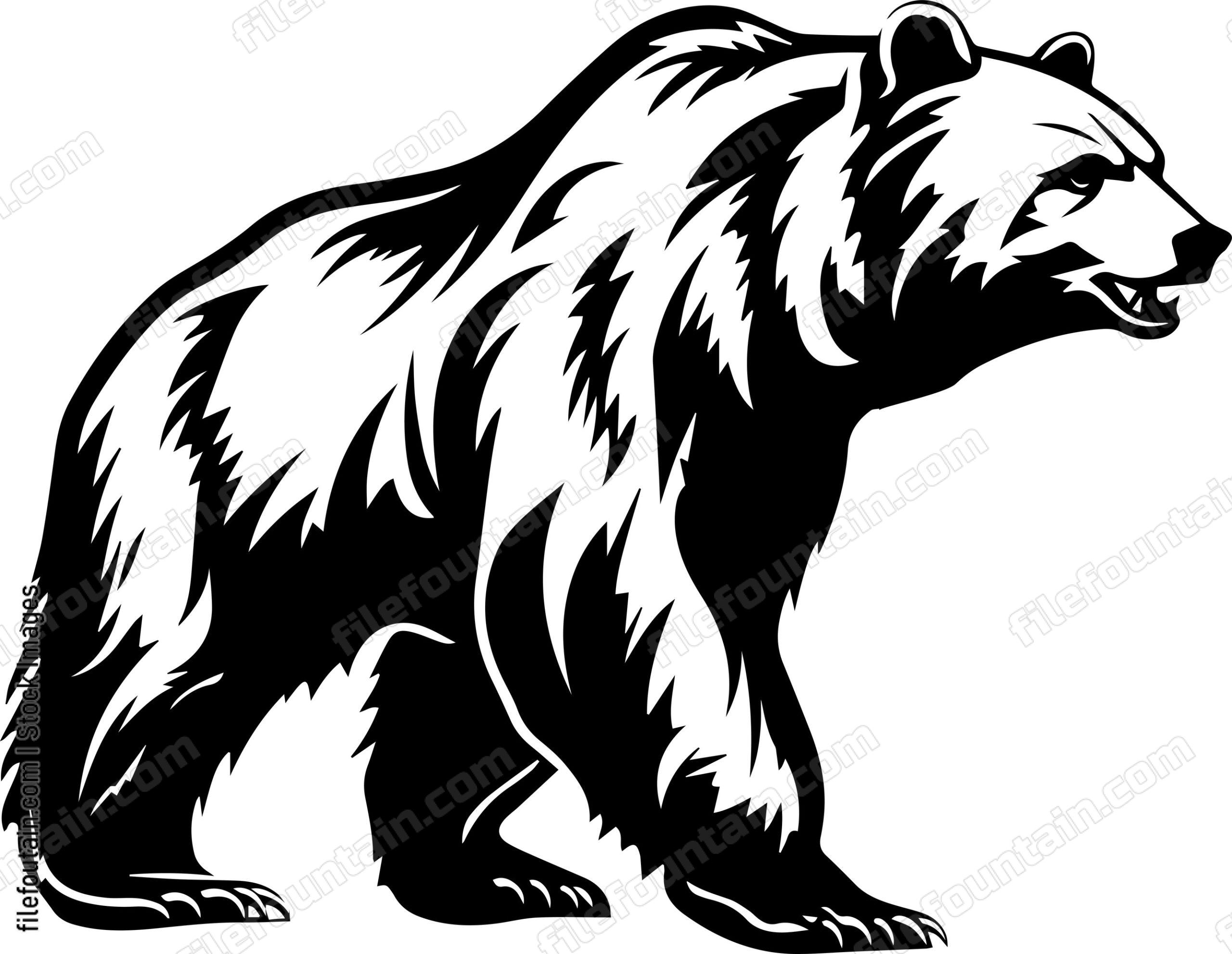Grizzly Bear