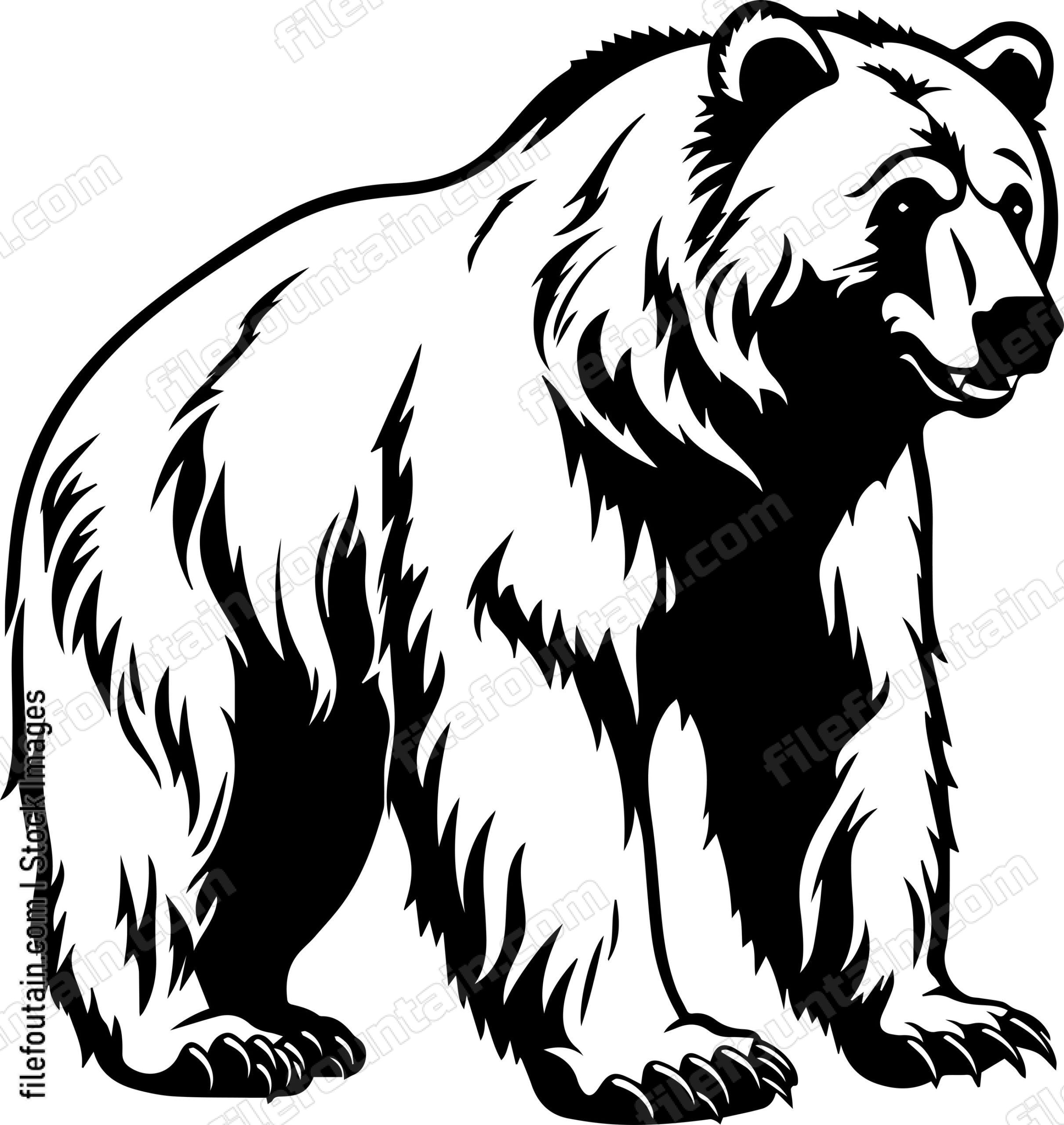 Grizzly Bear