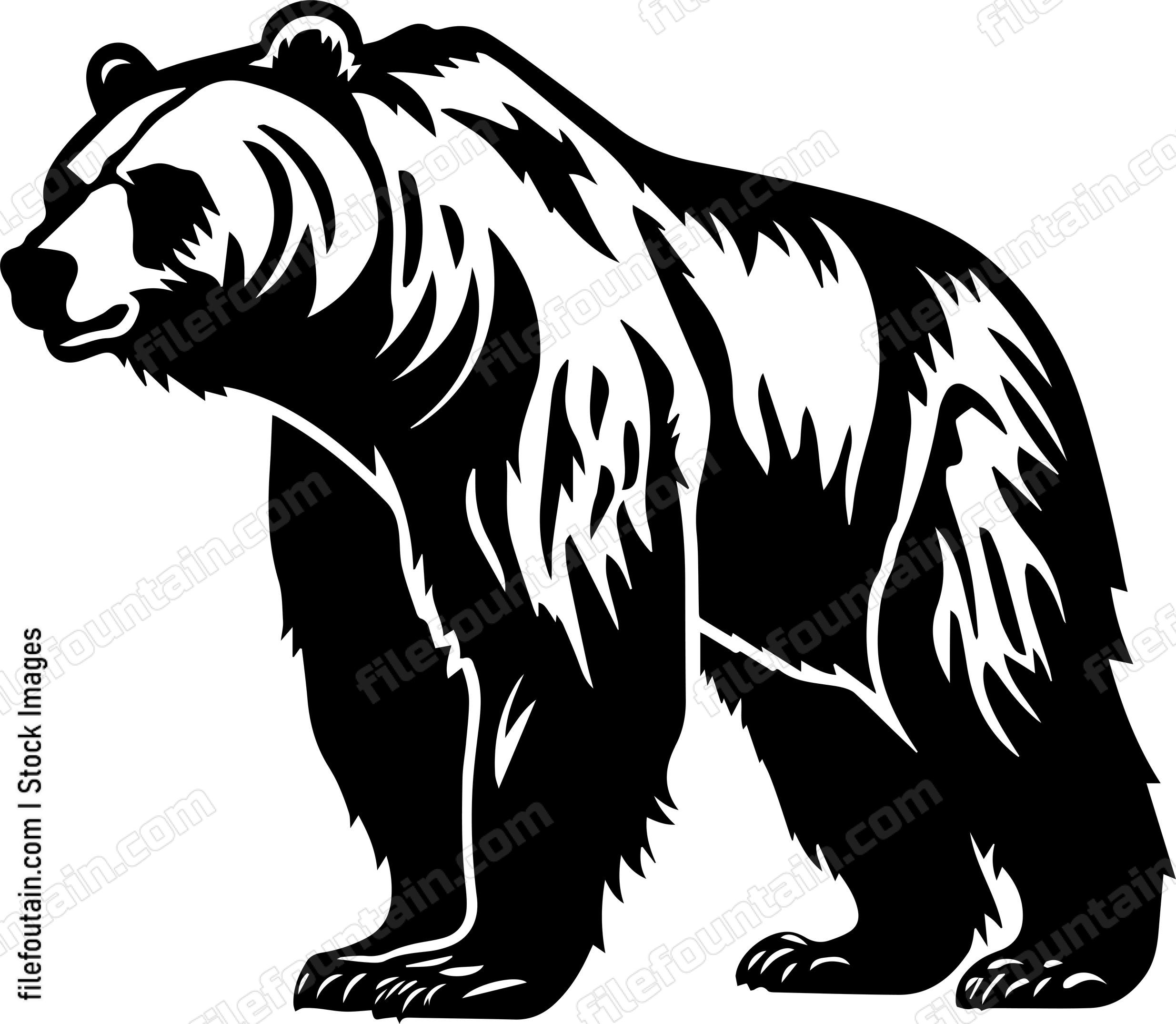 Grizzly Bear