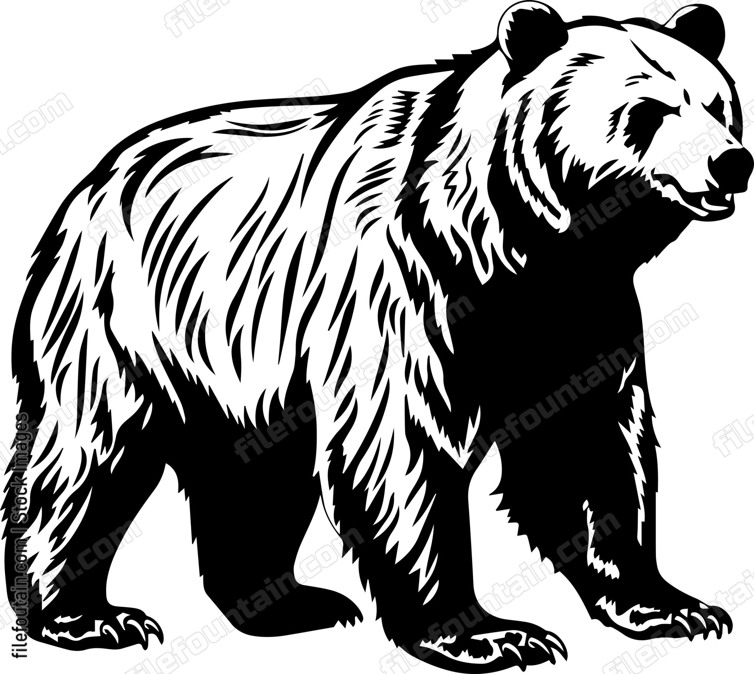 Grizzly Bear