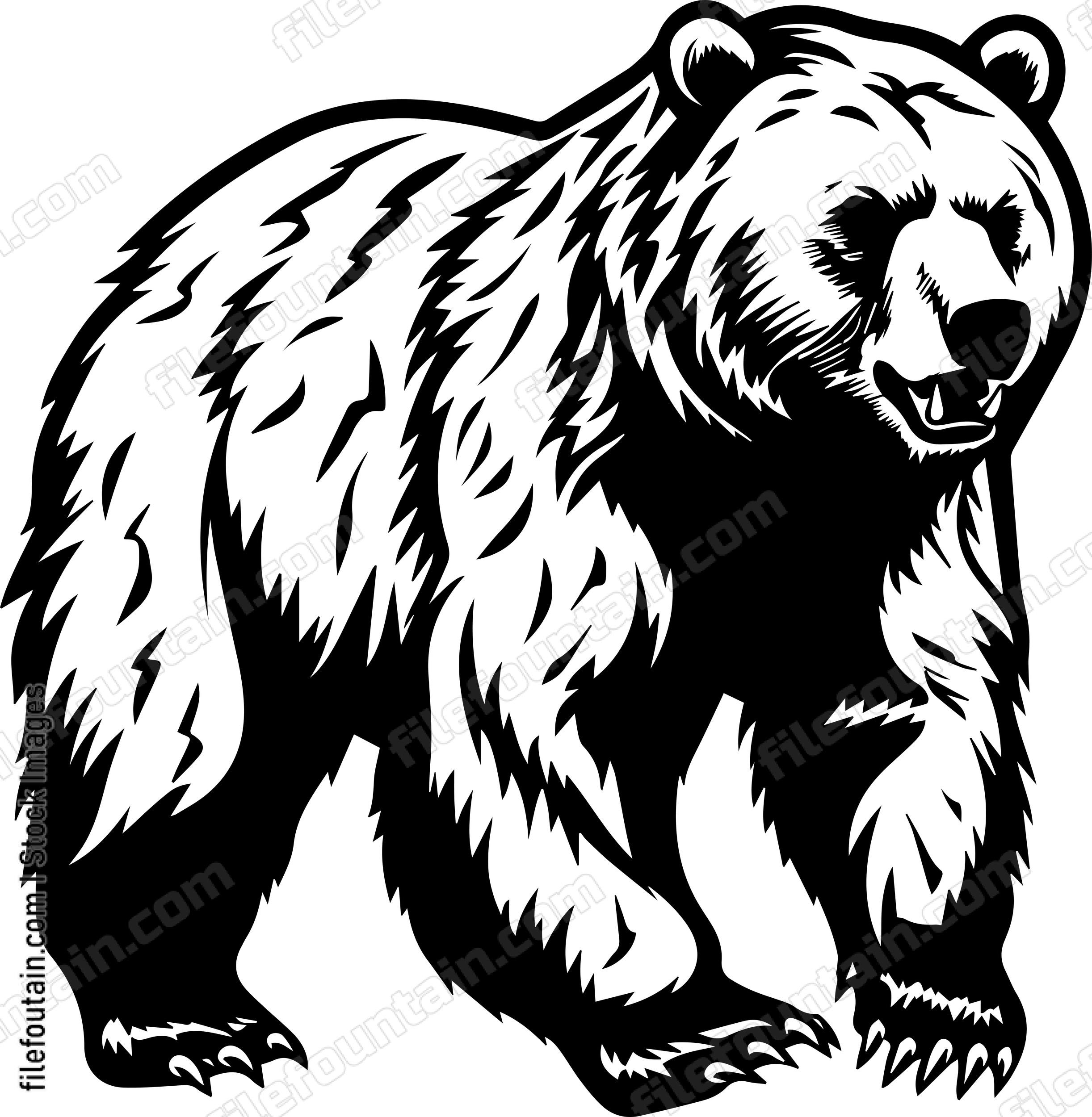 Grizzly Bear