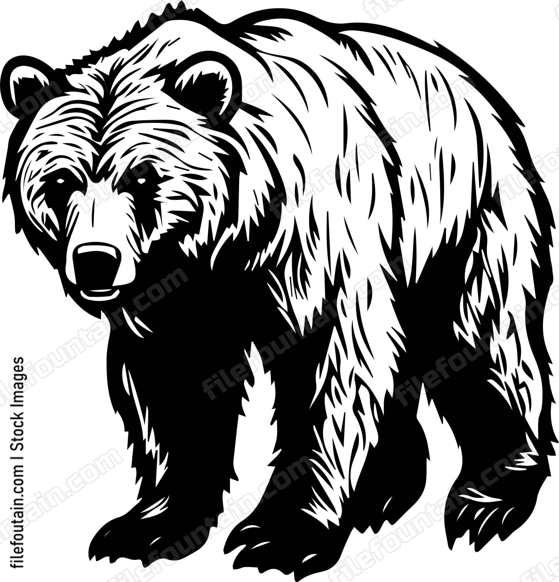 Grizzly Bear