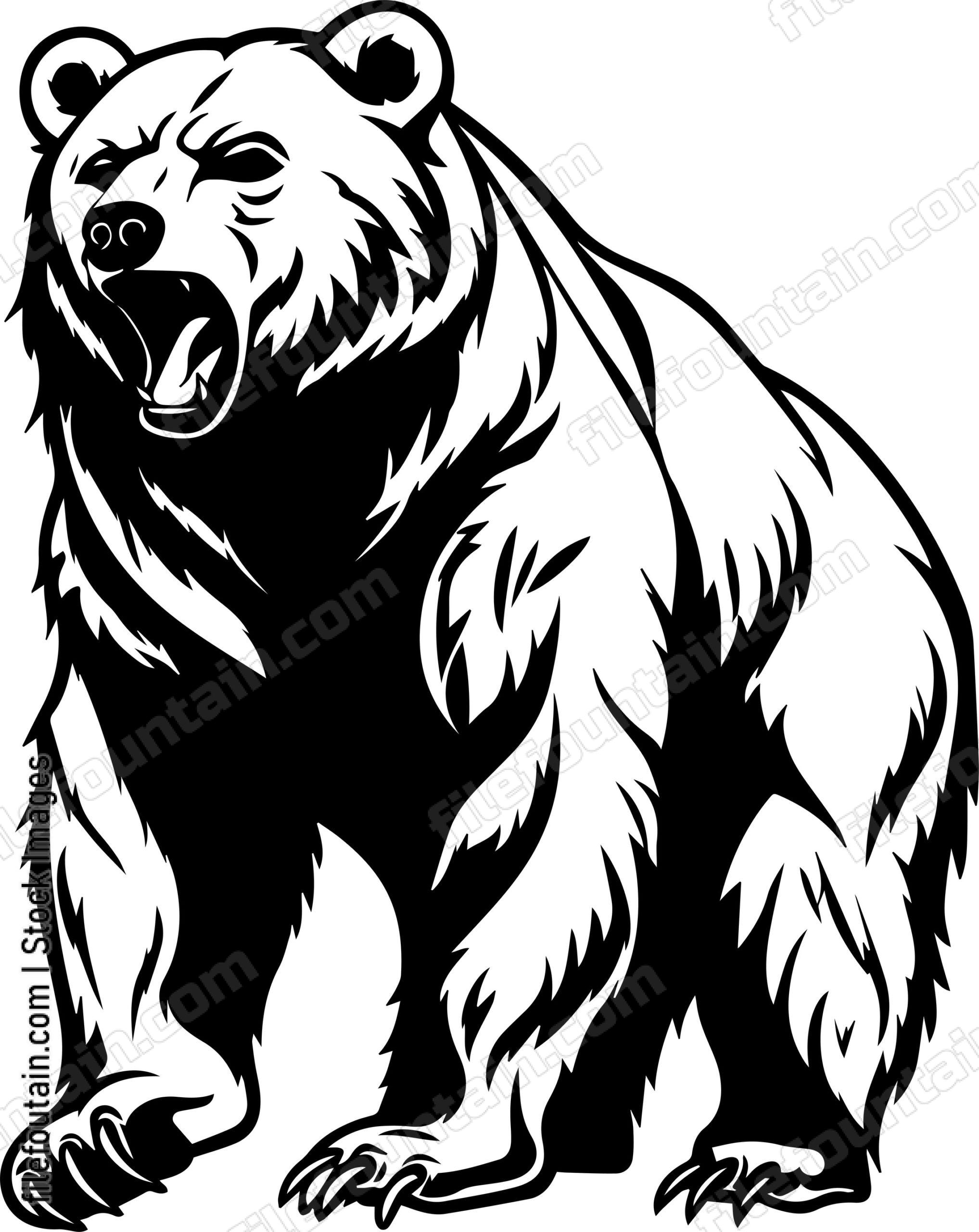 Grizzly Bear