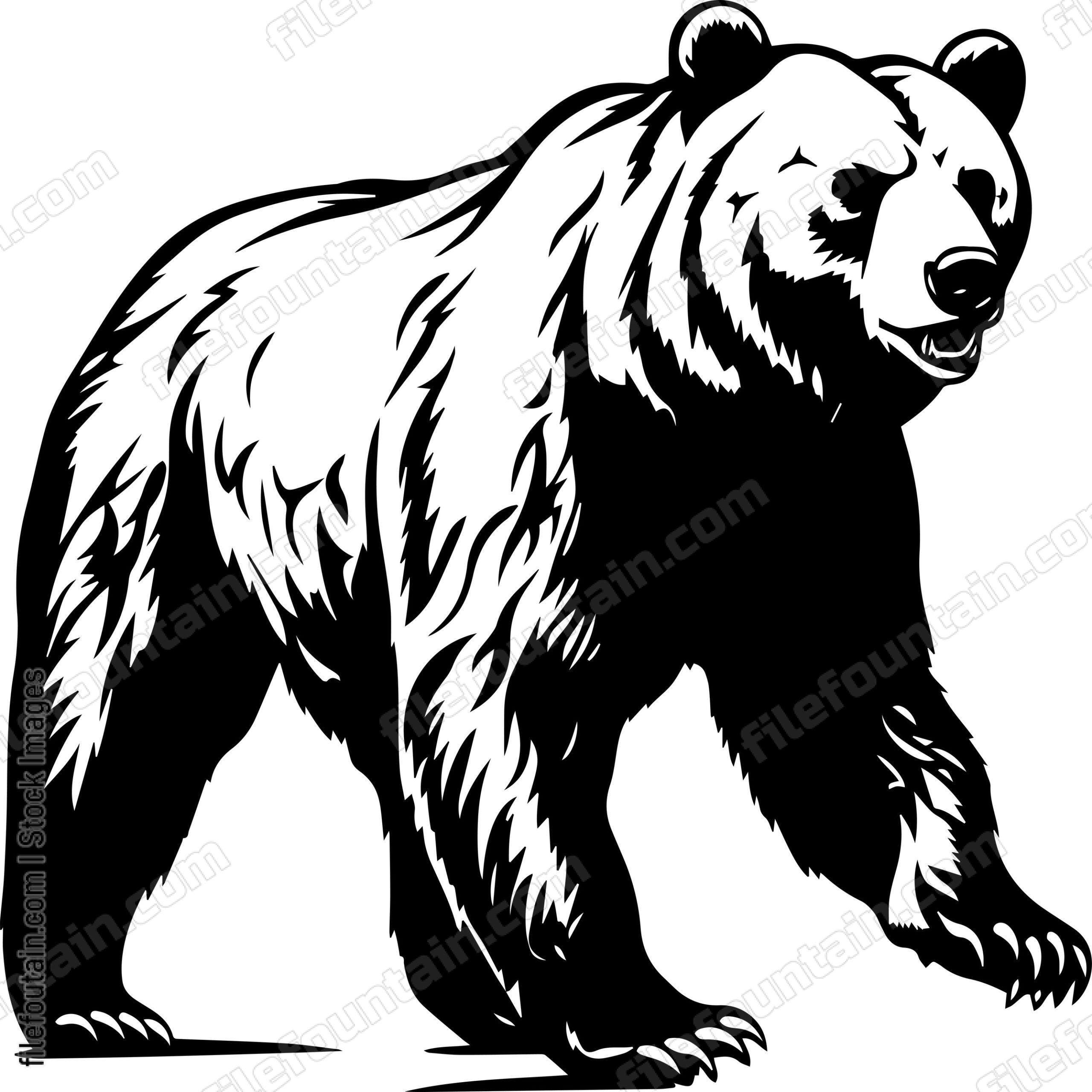 Grizzly Bear