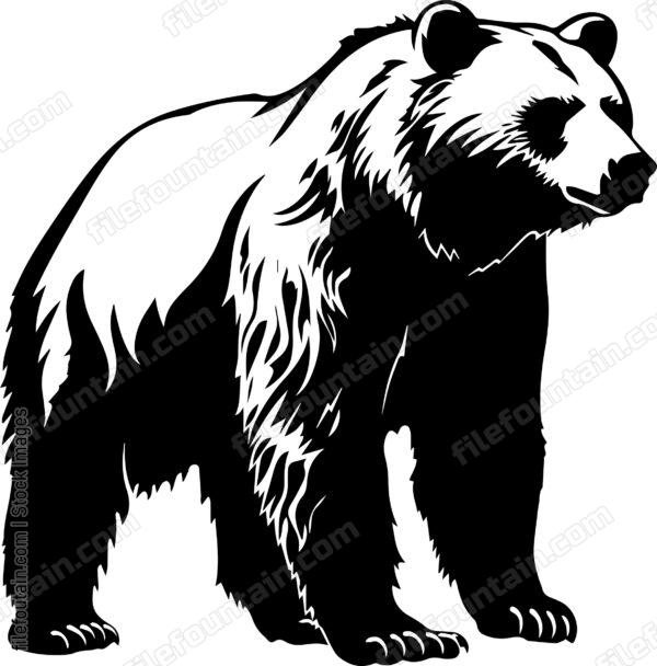 Grizzly Bear
