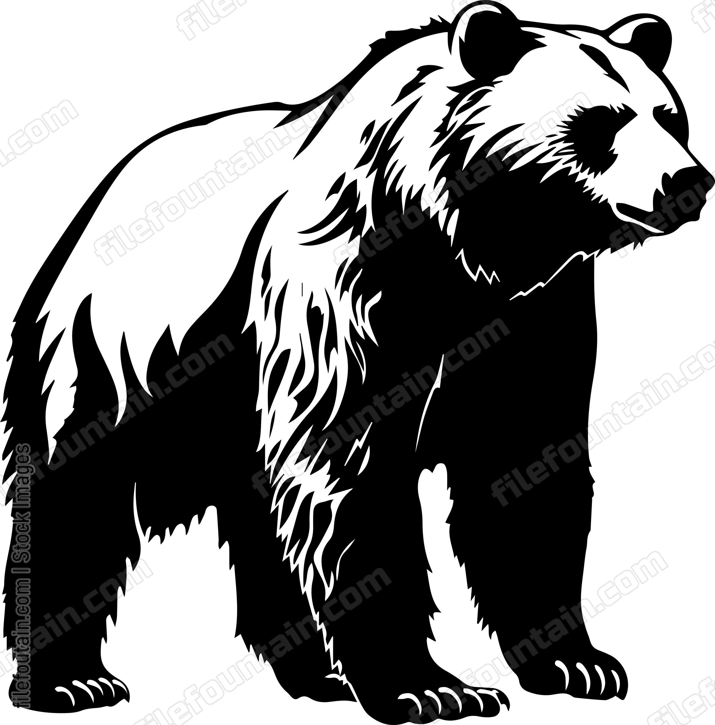 Grizzly Bear