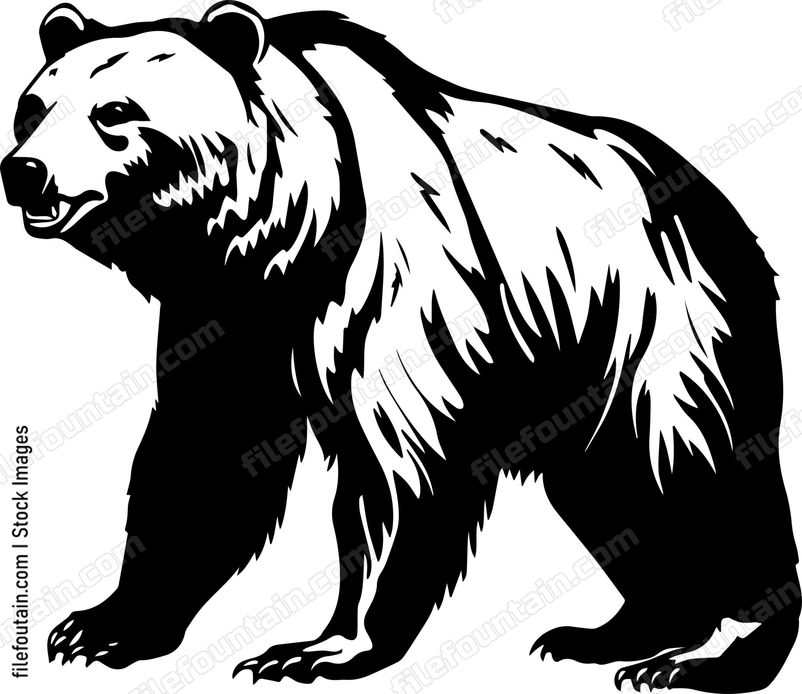 Grizzly Bear
