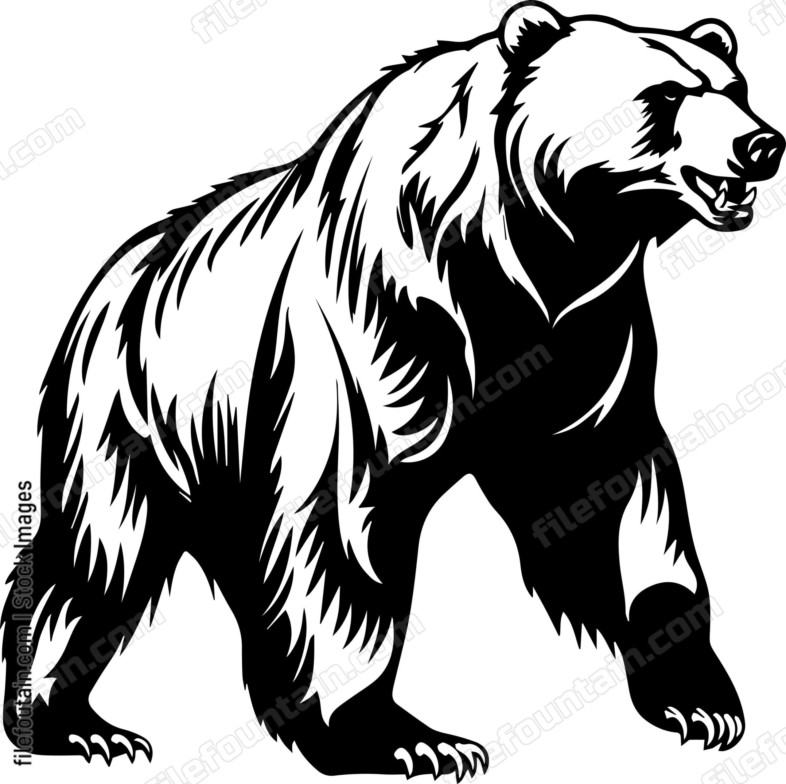 Grizzly Bear