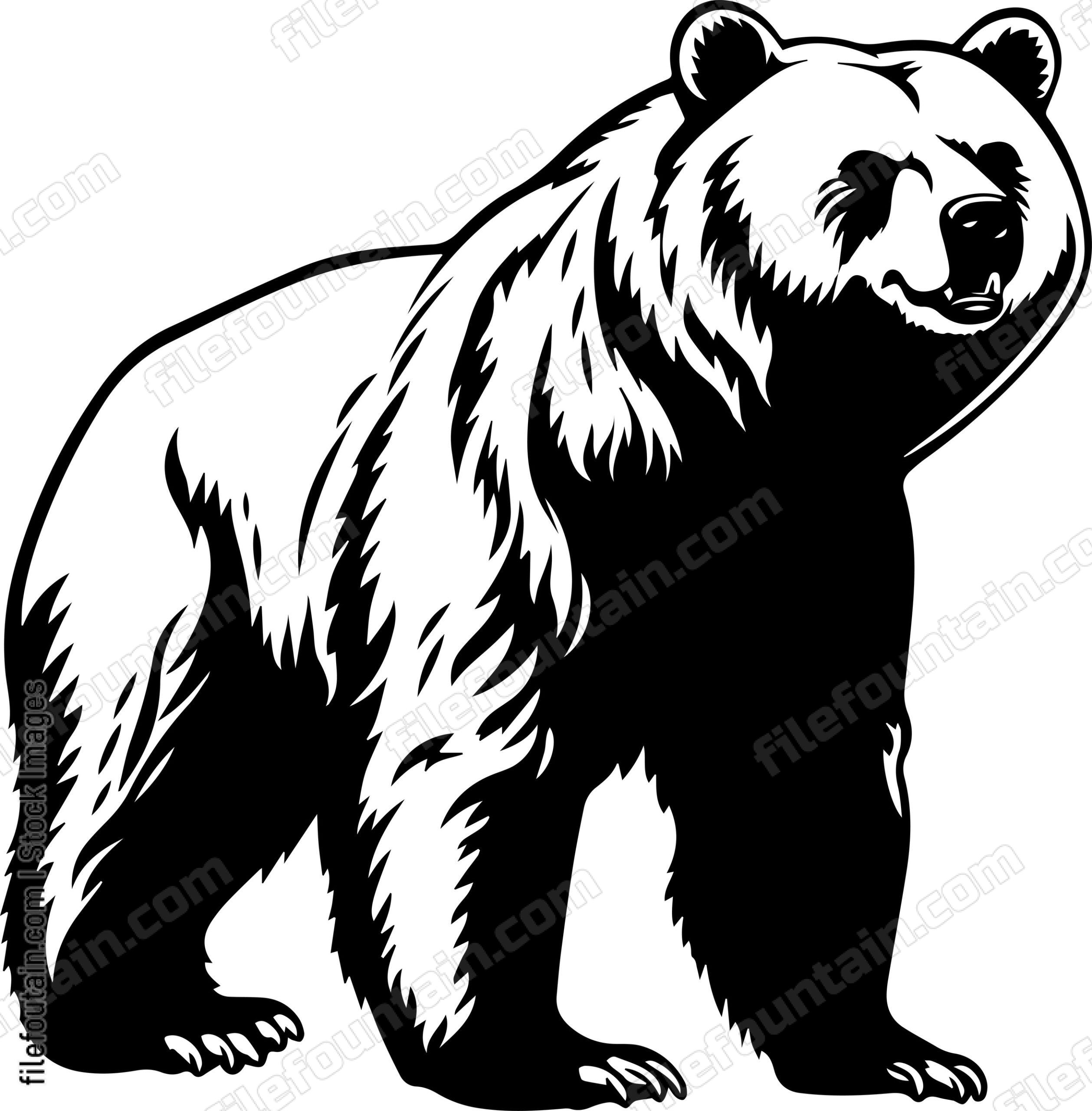 Grizzly Bear