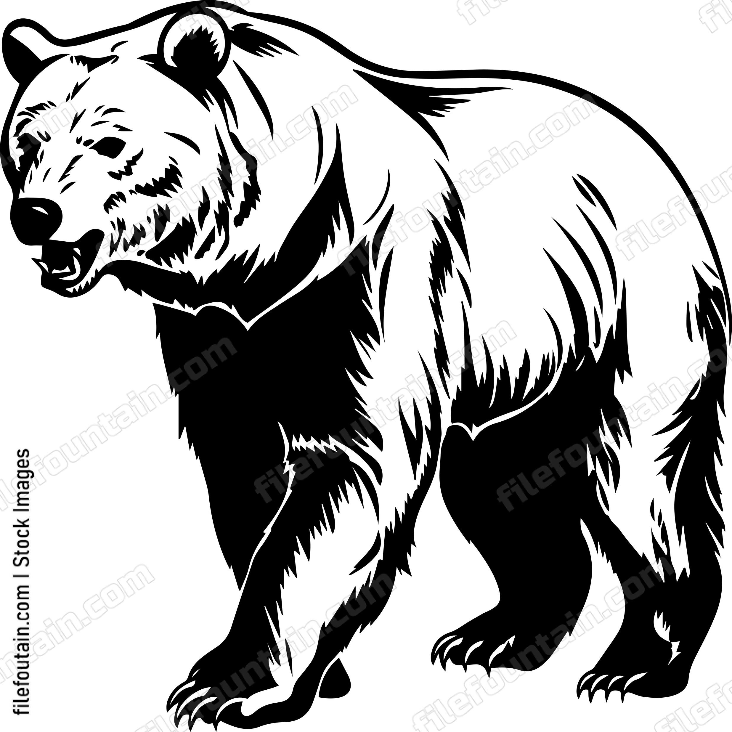 Grizzly Bear
