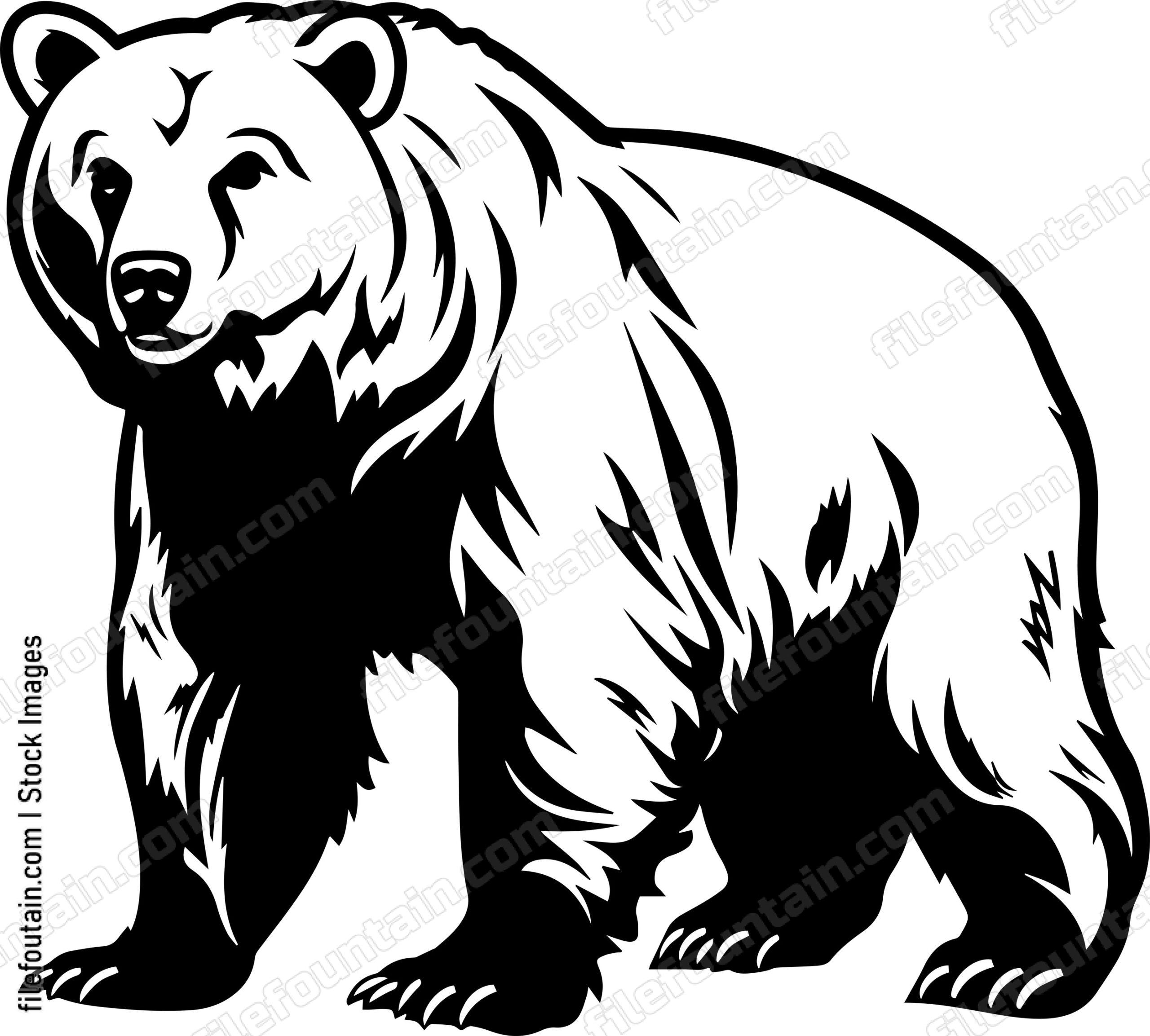 Grizzly Bear