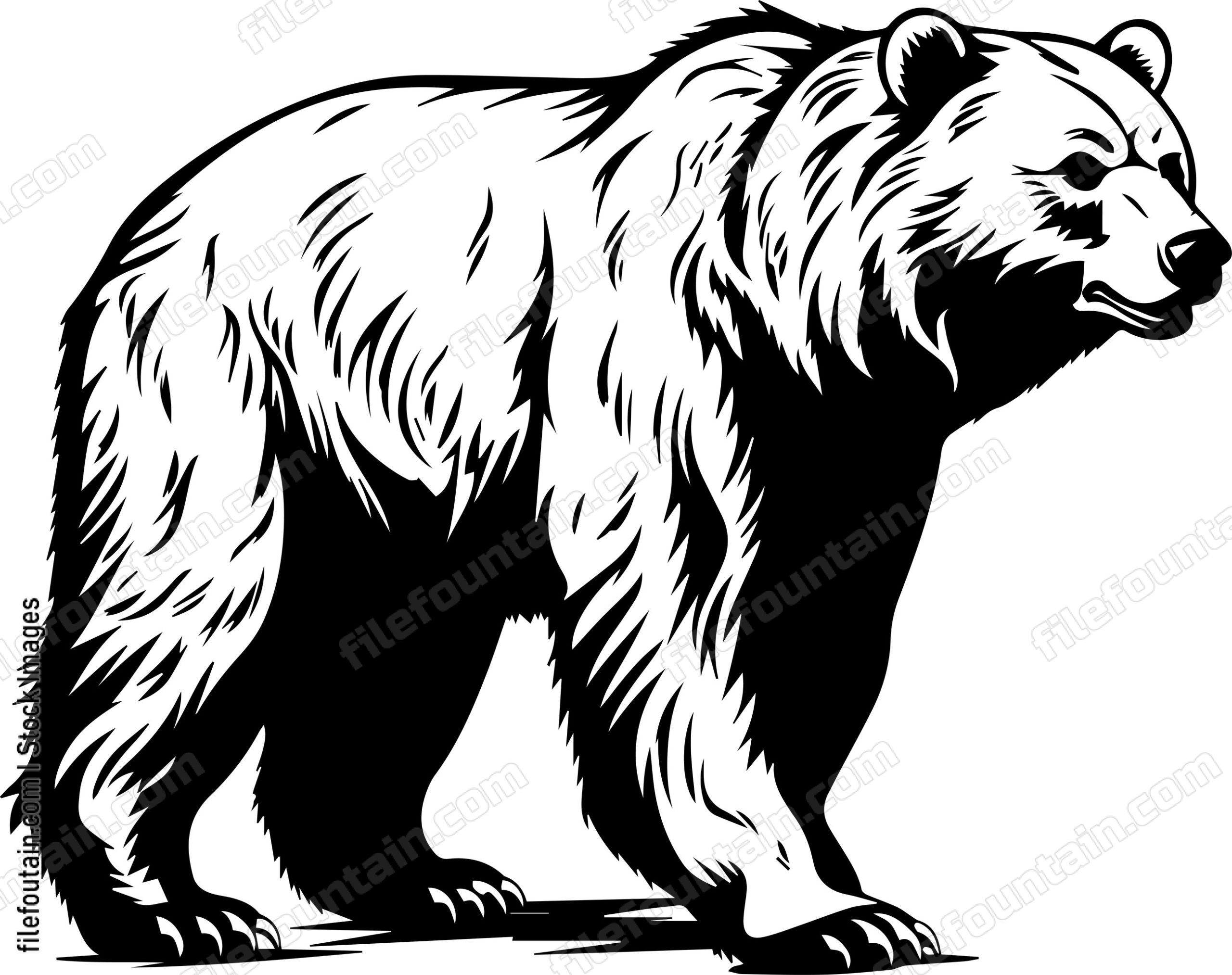 Grizzly Bear